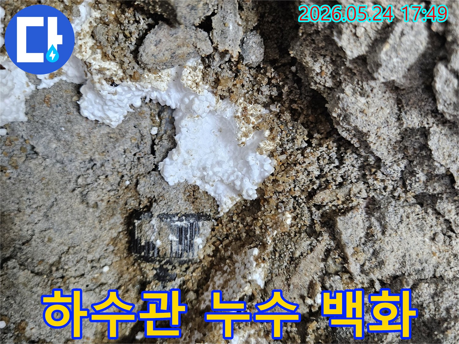 하수관-주변에서-발견된-누수로-인한-백화현상-확대-사진