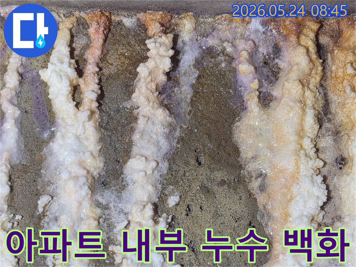 아파트-내부-벽면에-누적으로-발생한-심각한-백화현상과-습기-침투-흔적
