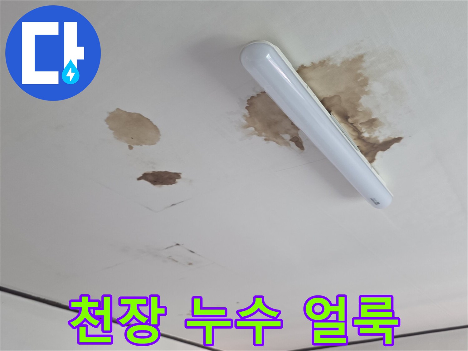다용도실 천장의 형광등 주변 물샘 흔적과 젖은 얼룩