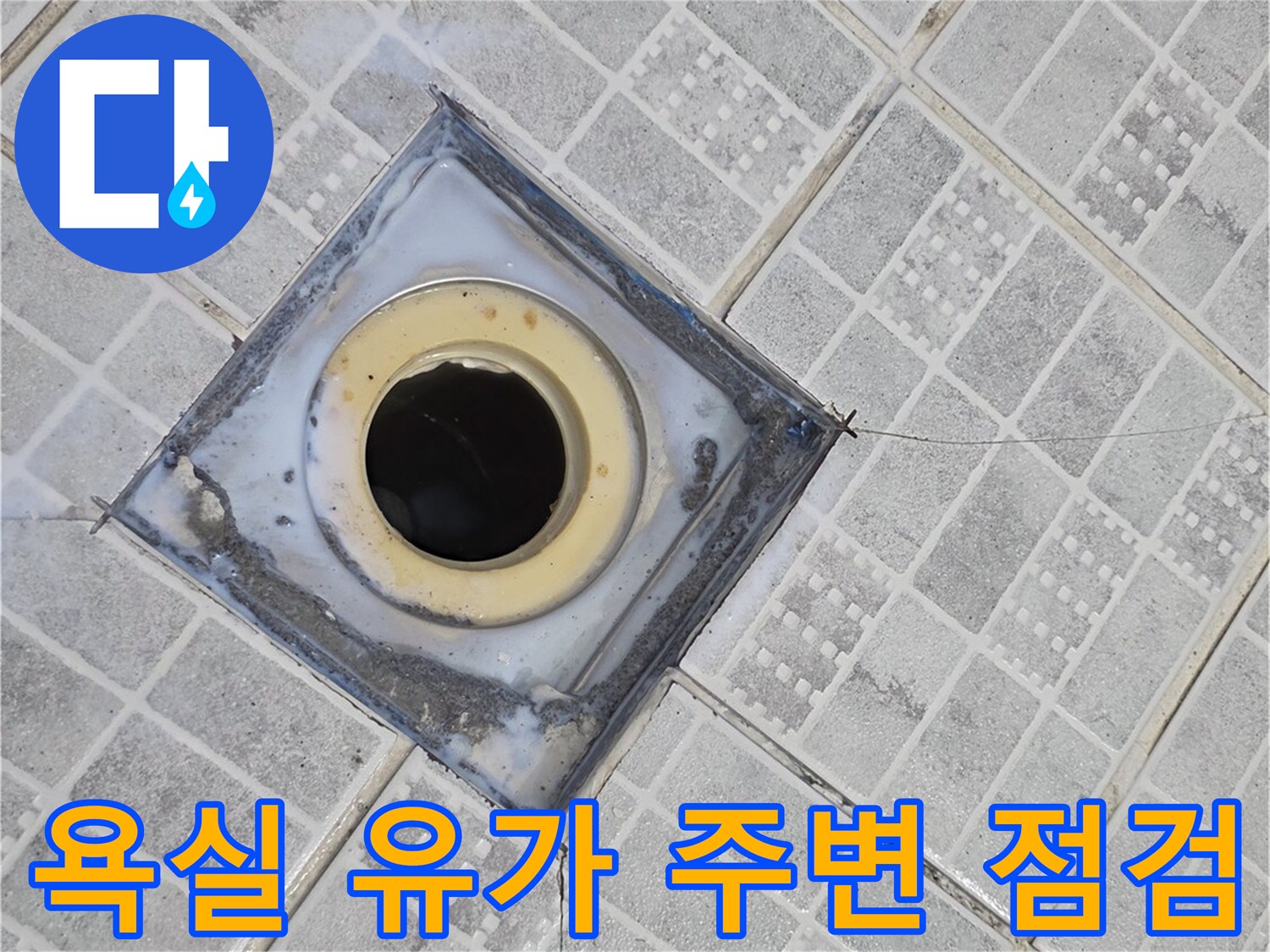 배수구 주변 타일 틈새의 오염된 모습을 촬영한 사진입니다.