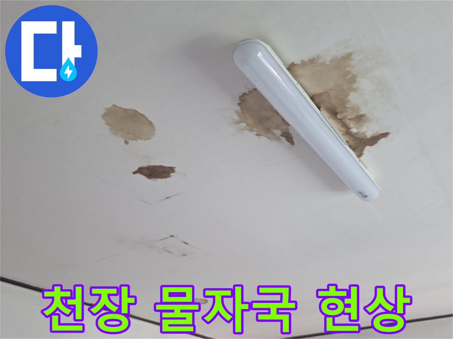 천장 마감재에-스며든-누수-흔적과-변색된-부위