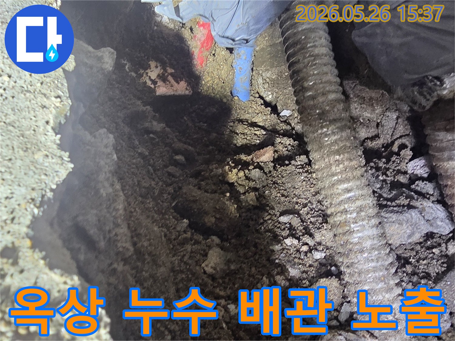 누수-공사-전문가가-빌라-옥상-배관의-손상-부위를-노출시키기-위해-주변-흙을-조심스럽게-제거하는-모습입니다.