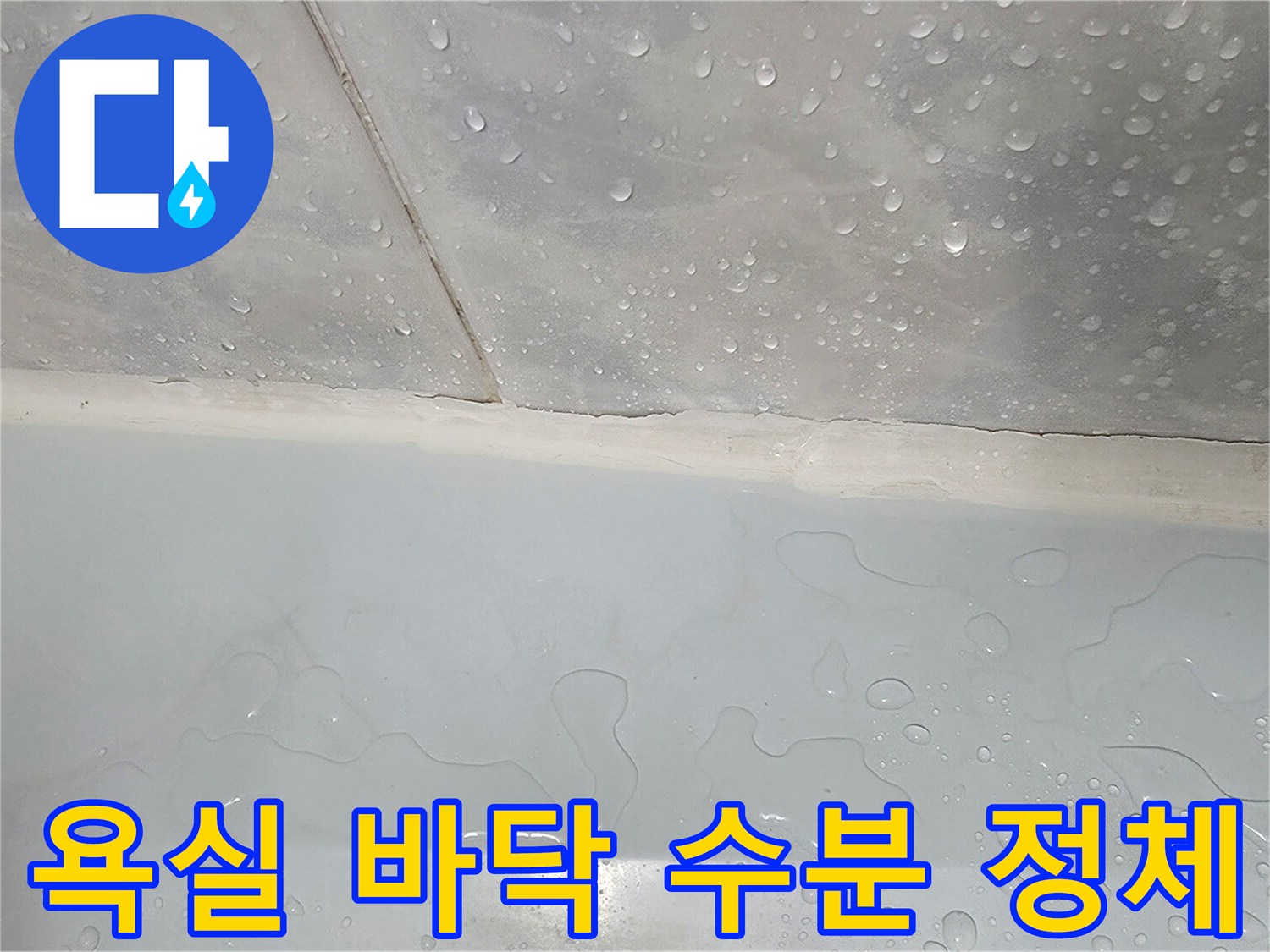 타일 접합부의 물고임 및 습기 현상 사진