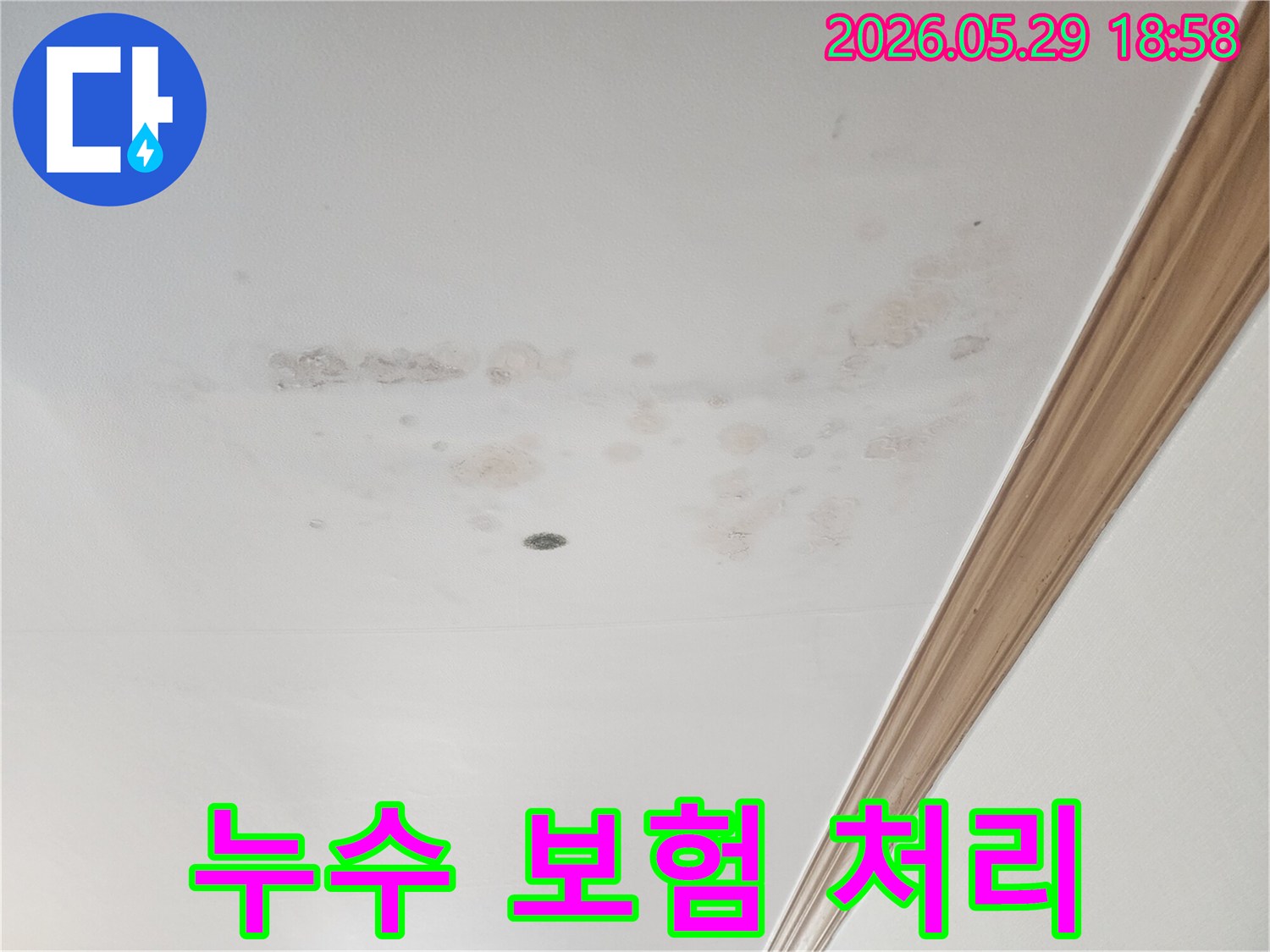 아파트-천장에-발생한-누수로-인한-곰팡이-및-오염-현상입니다.