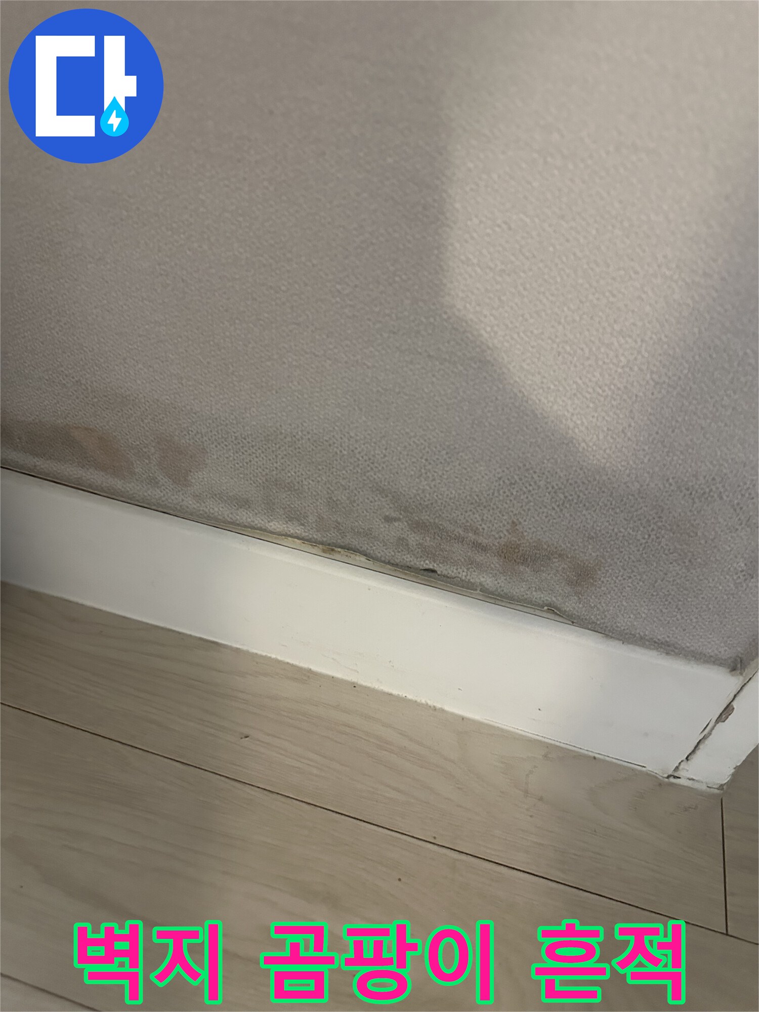 걸레받이 위쪽 벽면의 습기로 인한 변색과 곰팡이 상태