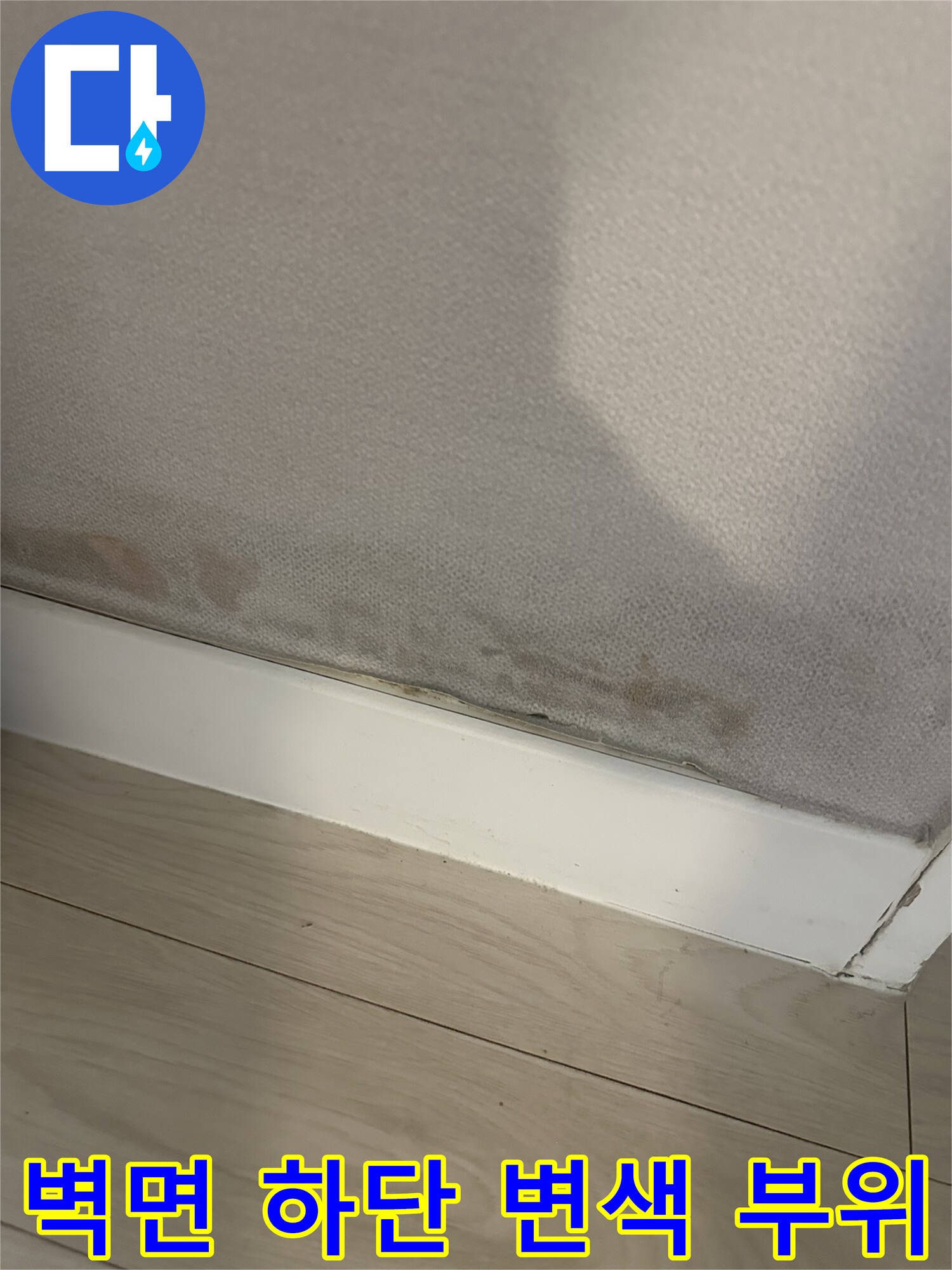 서대문구-아파트-벽지-하단부-곰팡이-및-변색-상태