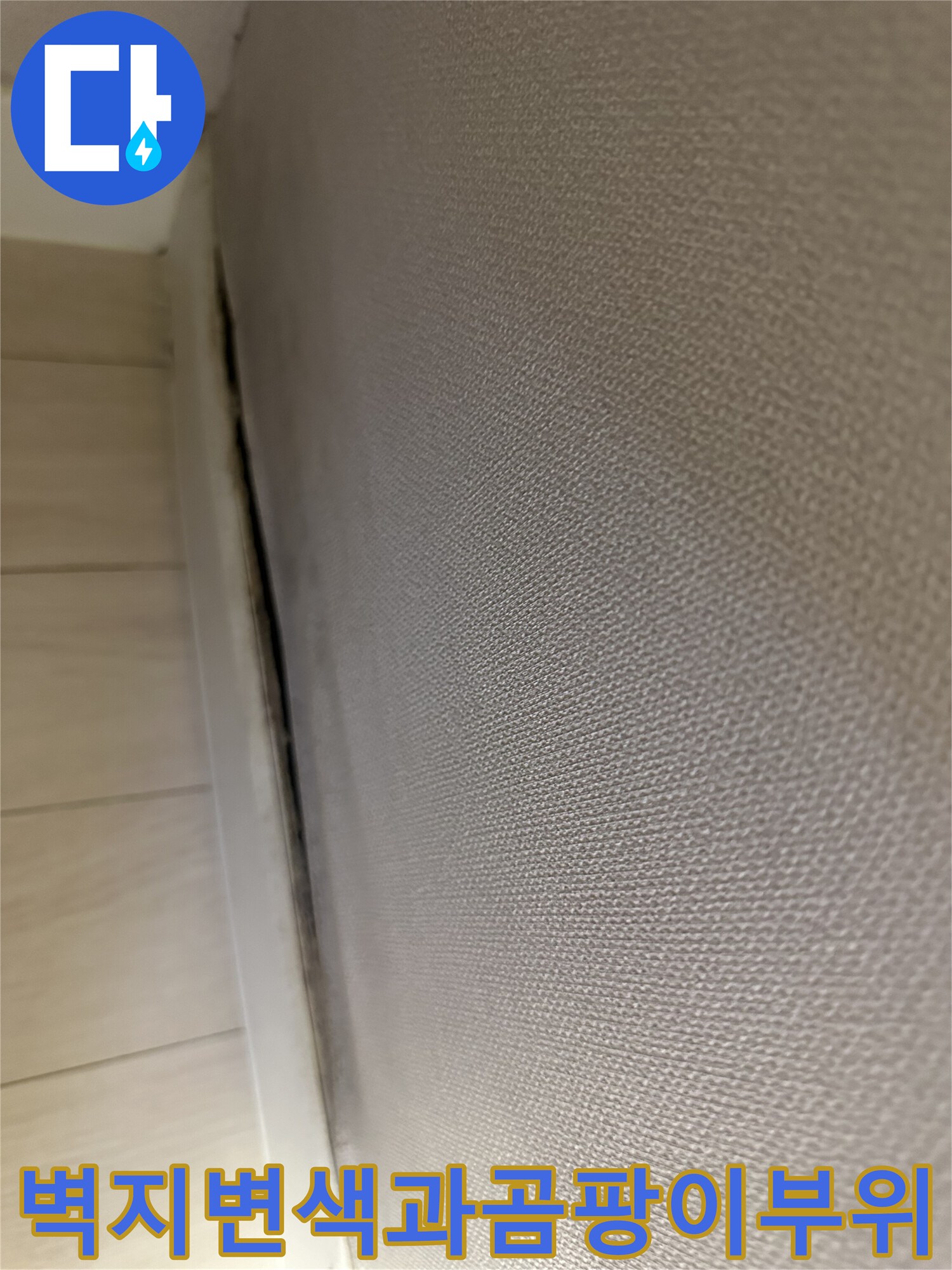 서대문구-욕실앞-벽지-하단부-변색-및-곰팡이-발생-상태