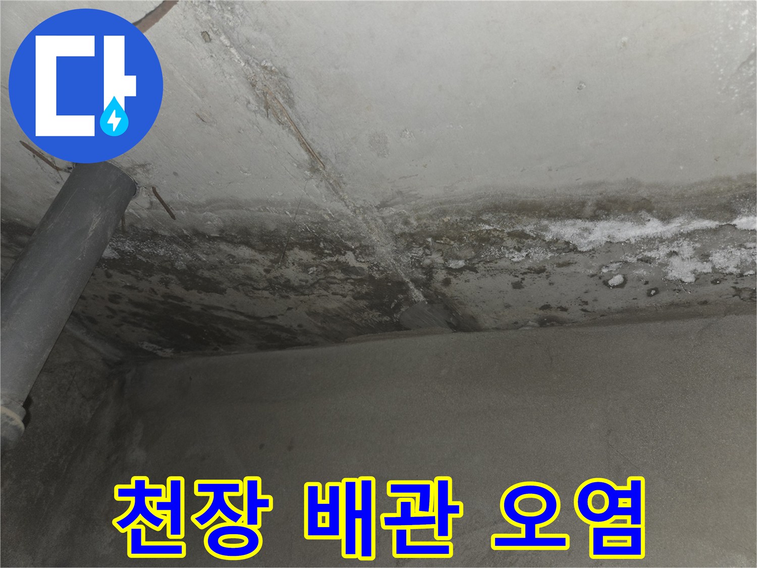 배관 주변에 형성된 하얀 석회 고드름과 젖은 천장