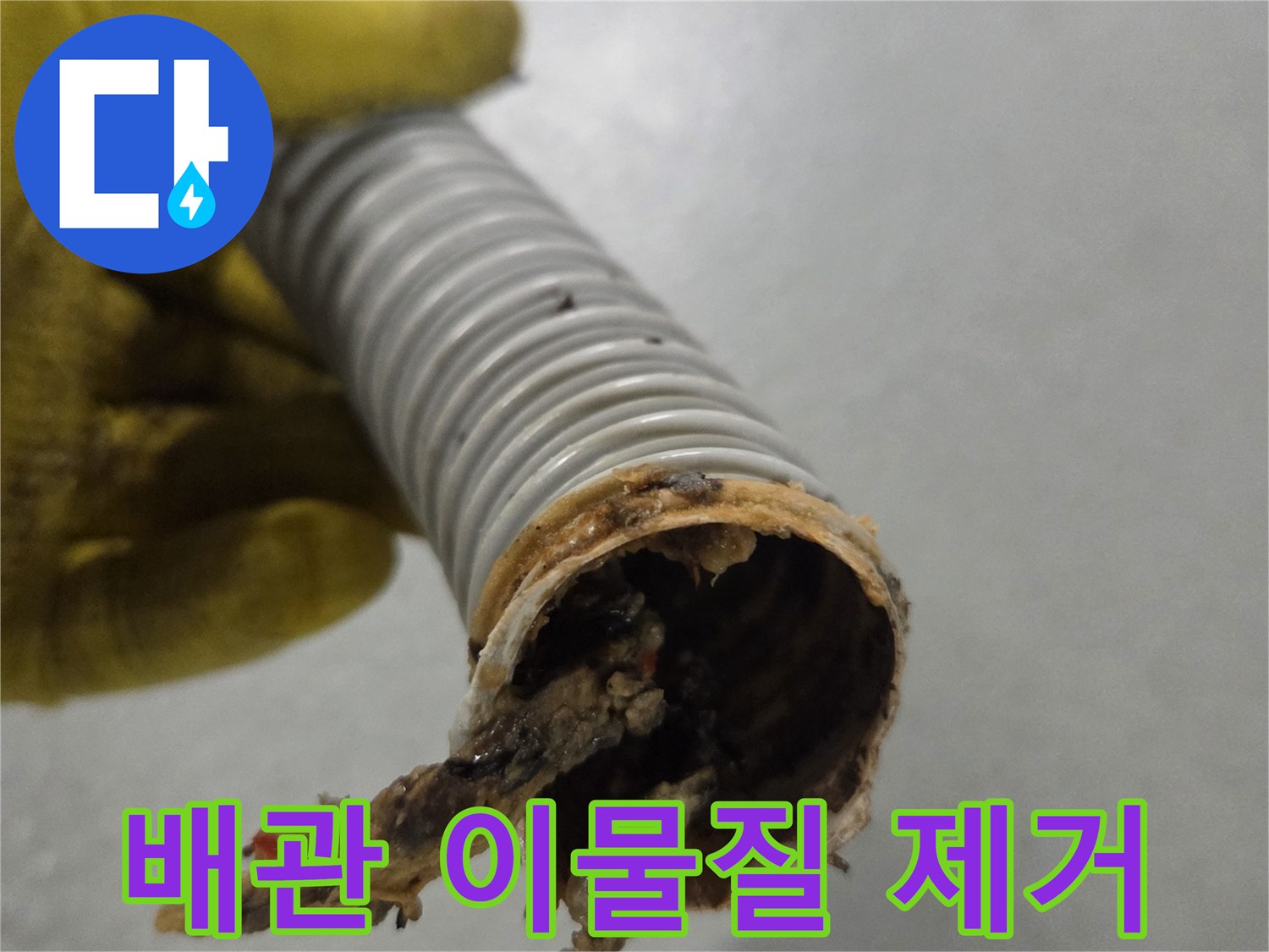 노란 장갑을 낀 손이-오염된 배수관 내부에서-이물질을 꺼내 보여주는 장면입니다.