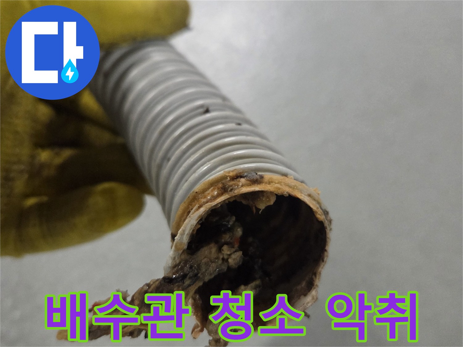 노란색 장갑을 낀 손이-악취 제거를 위해-청소 전 오염된 배수관을 보여줍니다.