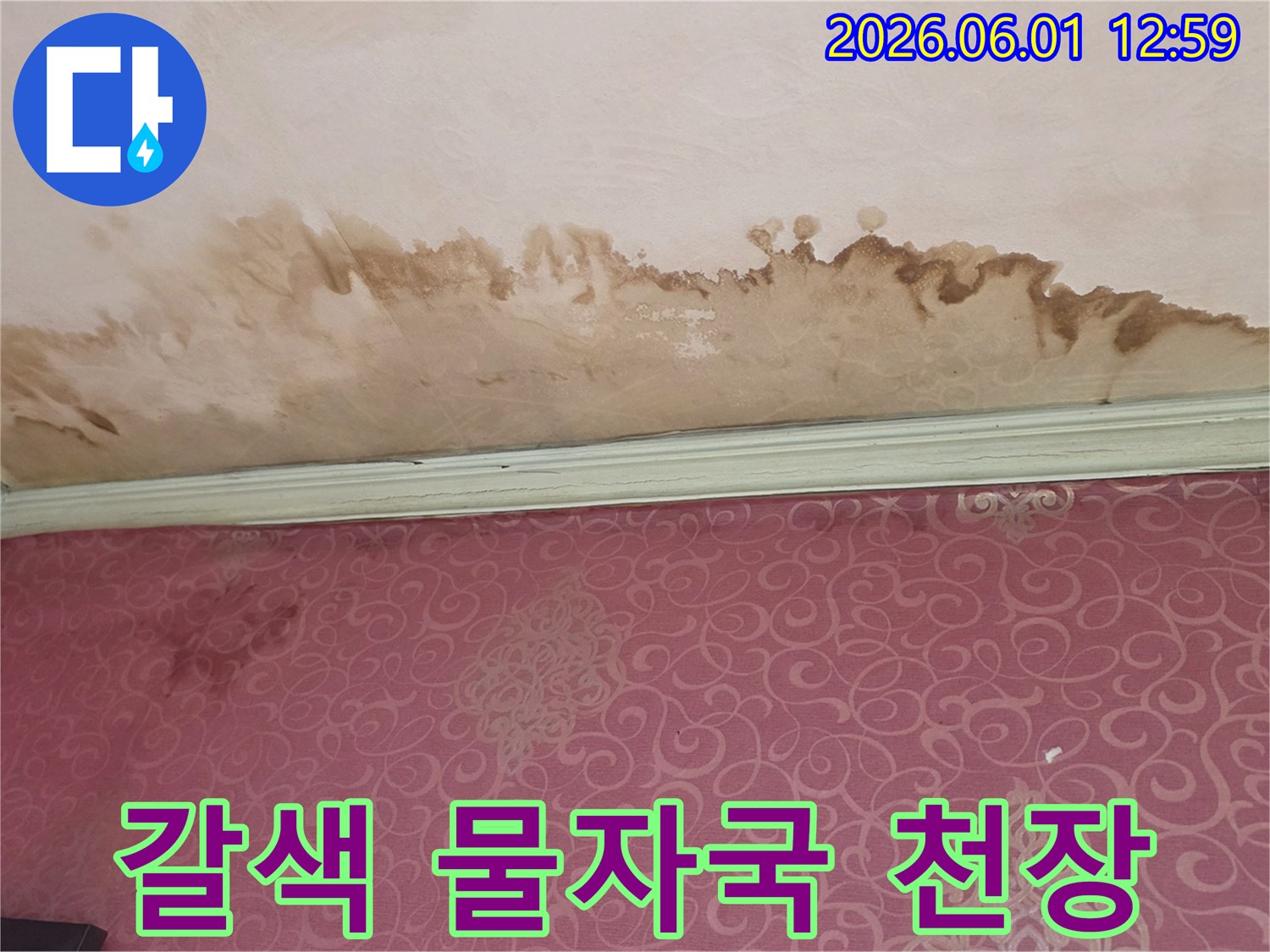 주택 천장에-나타난-불규칙한 갈색 패턴은-오랜 기간-누수가 있었음을-시사합니다.