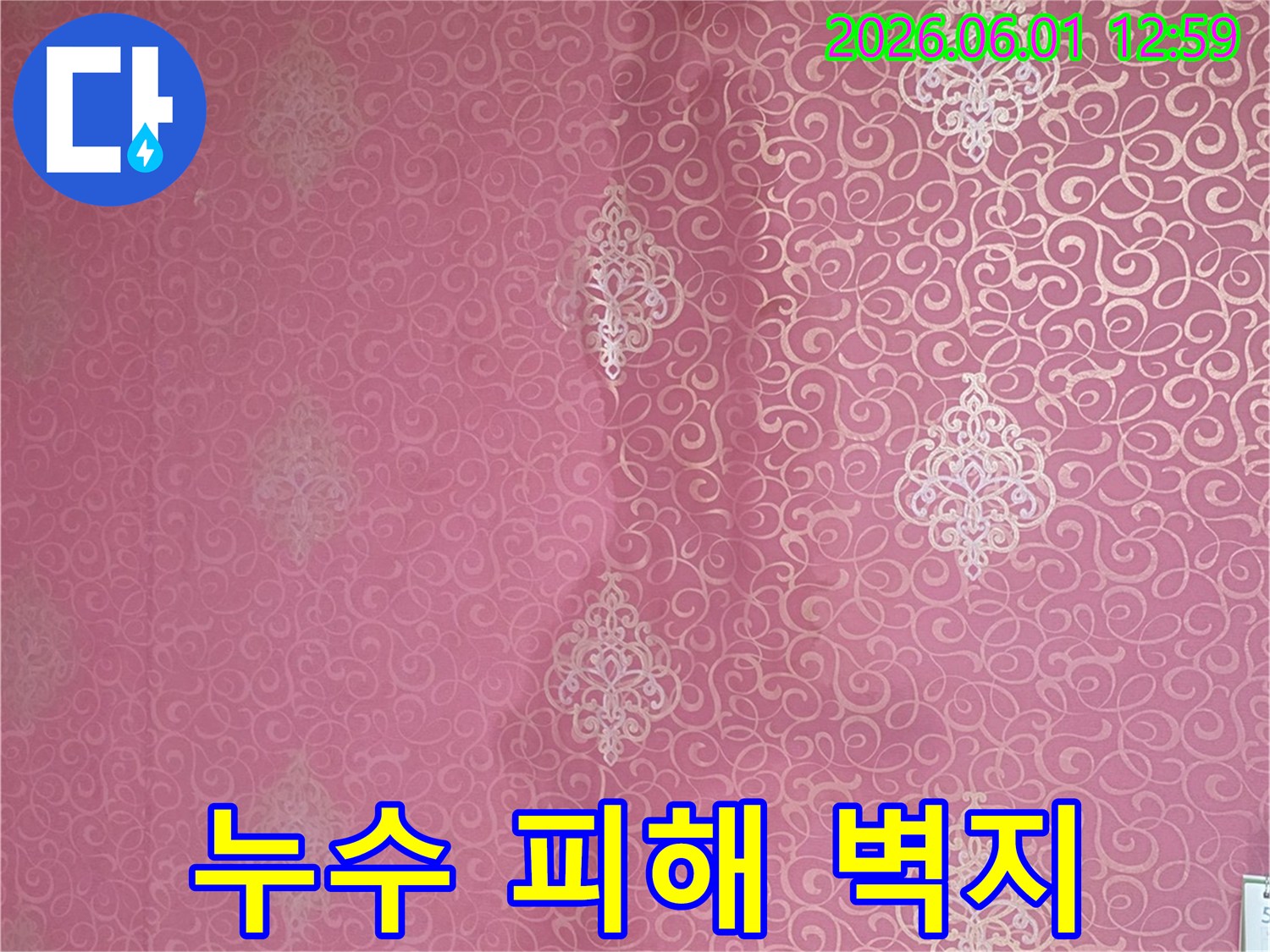 천장 벽지 젖음-신속한 조치가 필요한 누수 증상