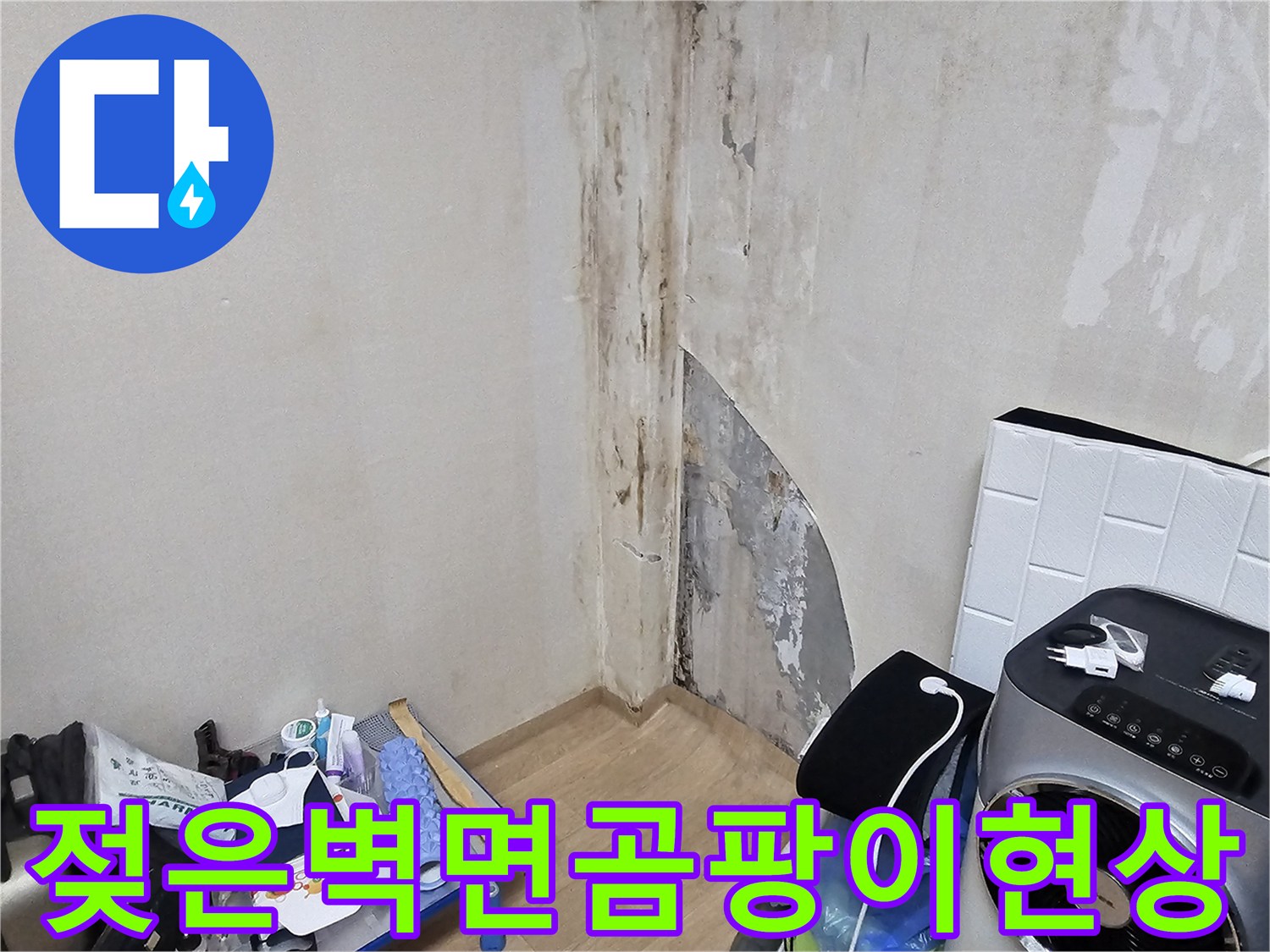 습기로 인해 변색되고 곰팡이가 발생한 상가 벽면의 모습입니다.