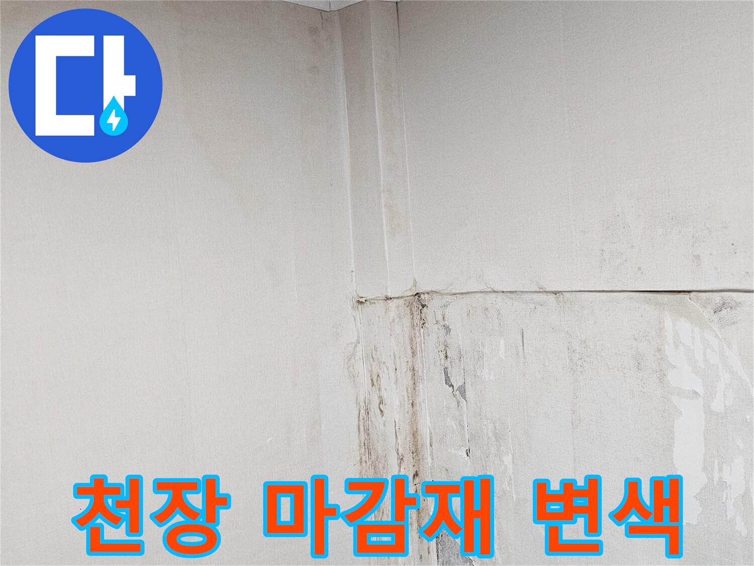 용인 상가 현장-물샘으로 인한 천장 부식 상태