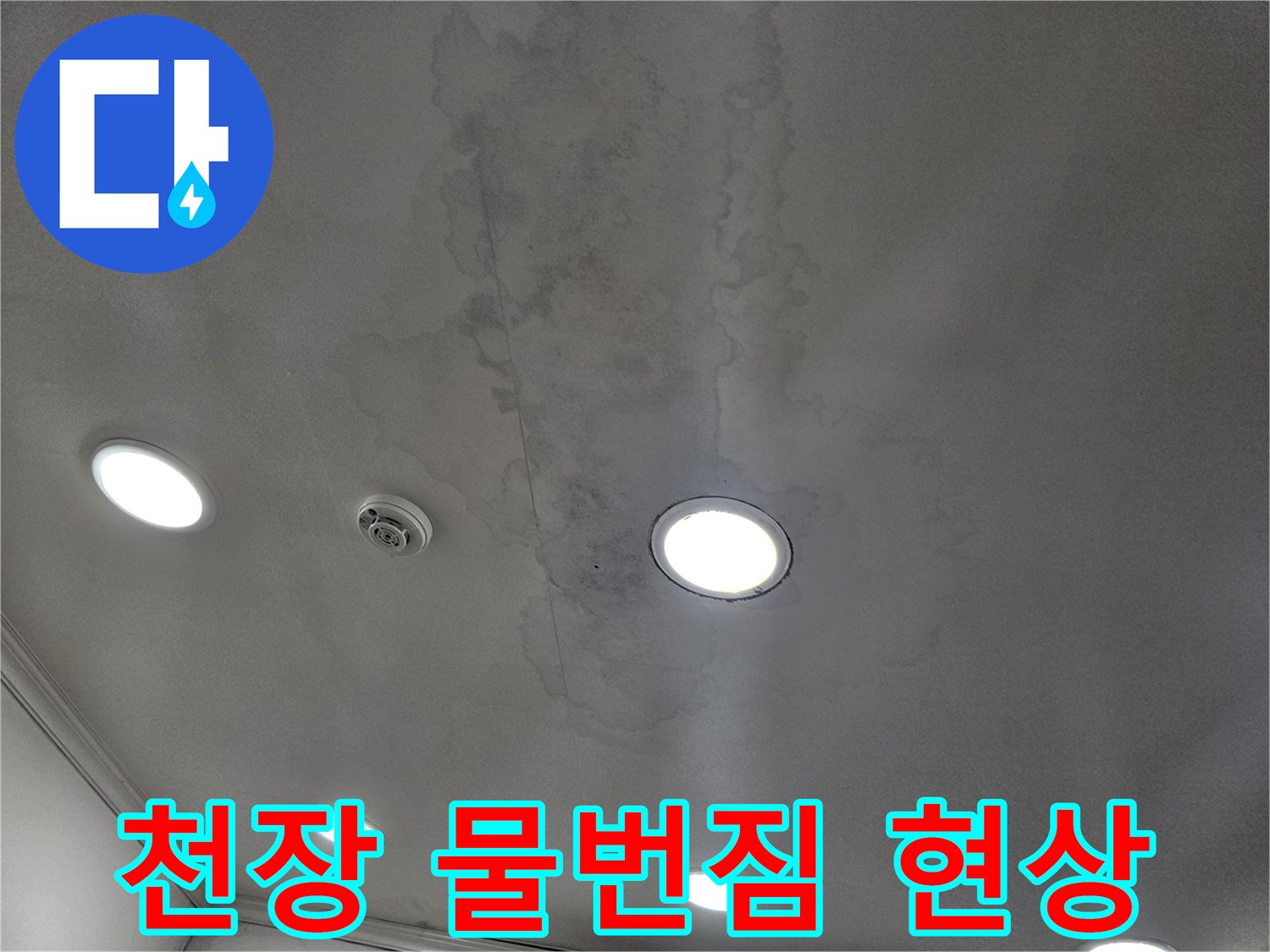 천장 조명 주변의 불규칙한 수분 침투 흔적