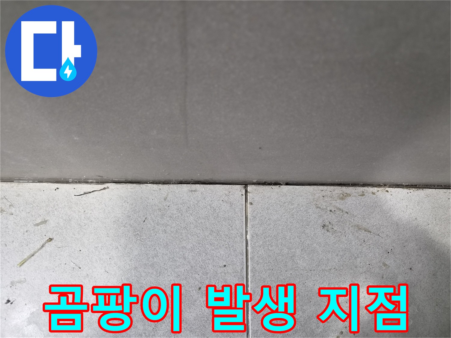 누수-현장에서-바닥-타일-틈새에-발생한-검은-곰팡이-지점을-확인하는-모습입니다