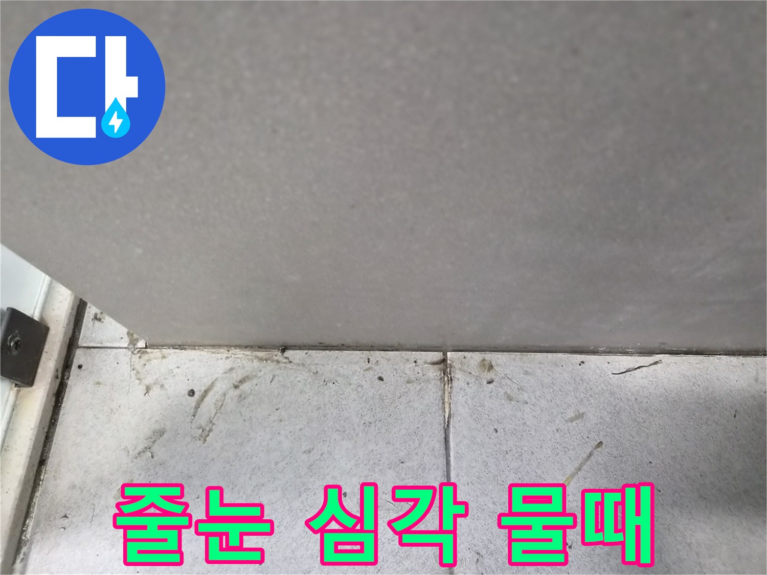 타일-줄눈에-나타난-심각한-물때와-오염으로-인한-누수-징후