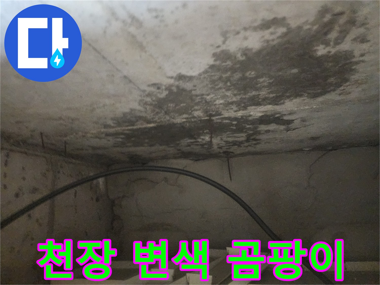아래층 화장실 천장에 나타난-누수로 인한 변색과 곰팡이를 보여주는-현장 사진입니다.