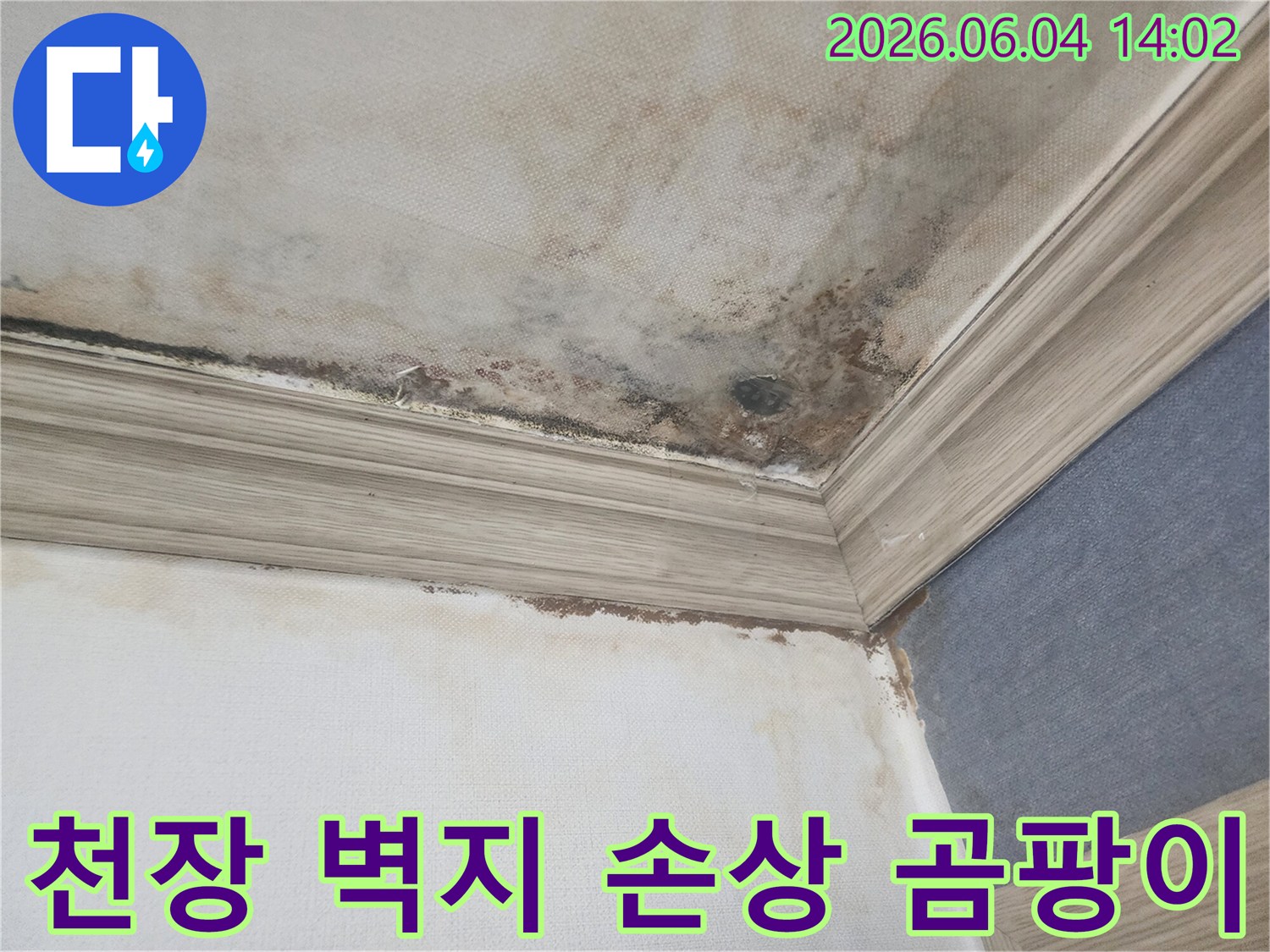 천장과 벽의 경계면에-누수로 인해 벽지가 손상되고-검은 곰팡이가 번져있는-피해 현장의 클로즈업 이미지