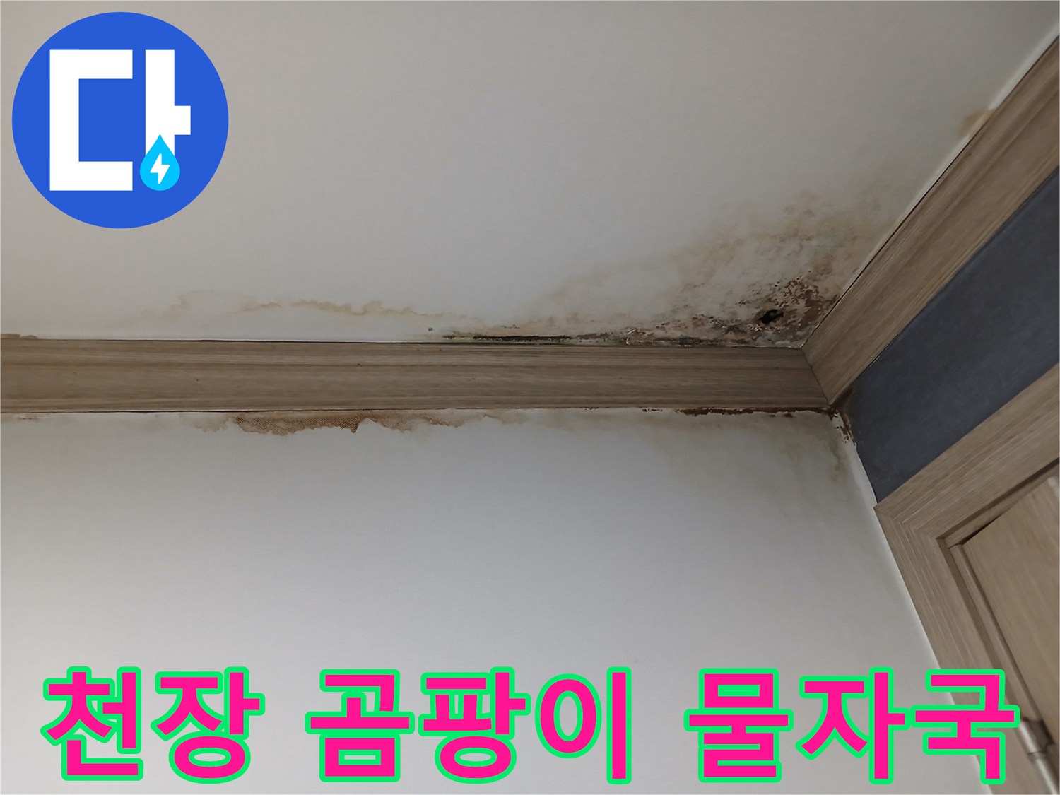 평택 아파트-아랫집 천장과 벽면 코너에-심각하게 번진-누수 곰팡이와-물 얼룩