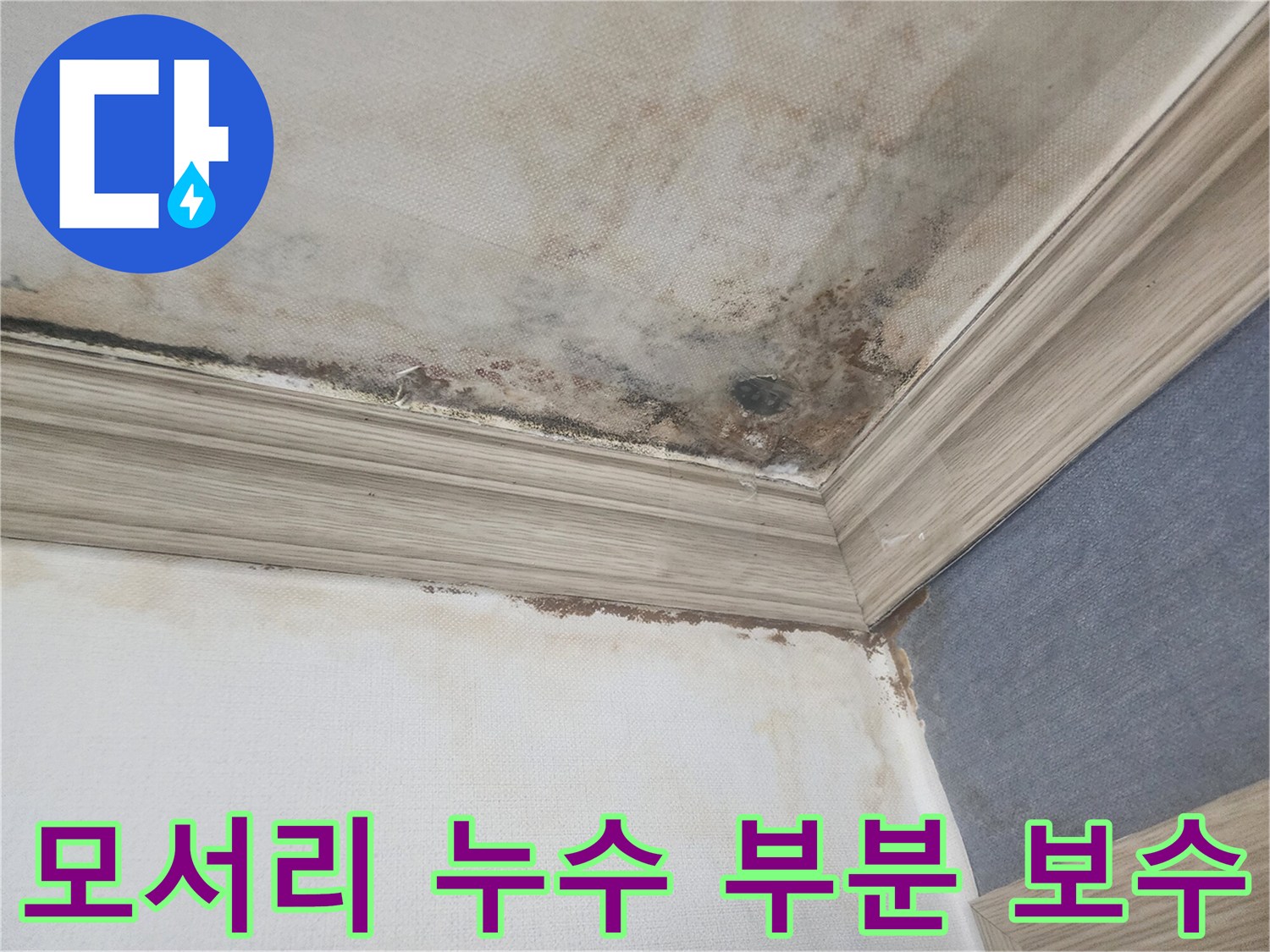 평택 아파트 천장 모서리에서 발생한 누수로-인해 곰팡이가 번진 현장에서-정밀 탐지 후-부분 보수를 진행합니다.