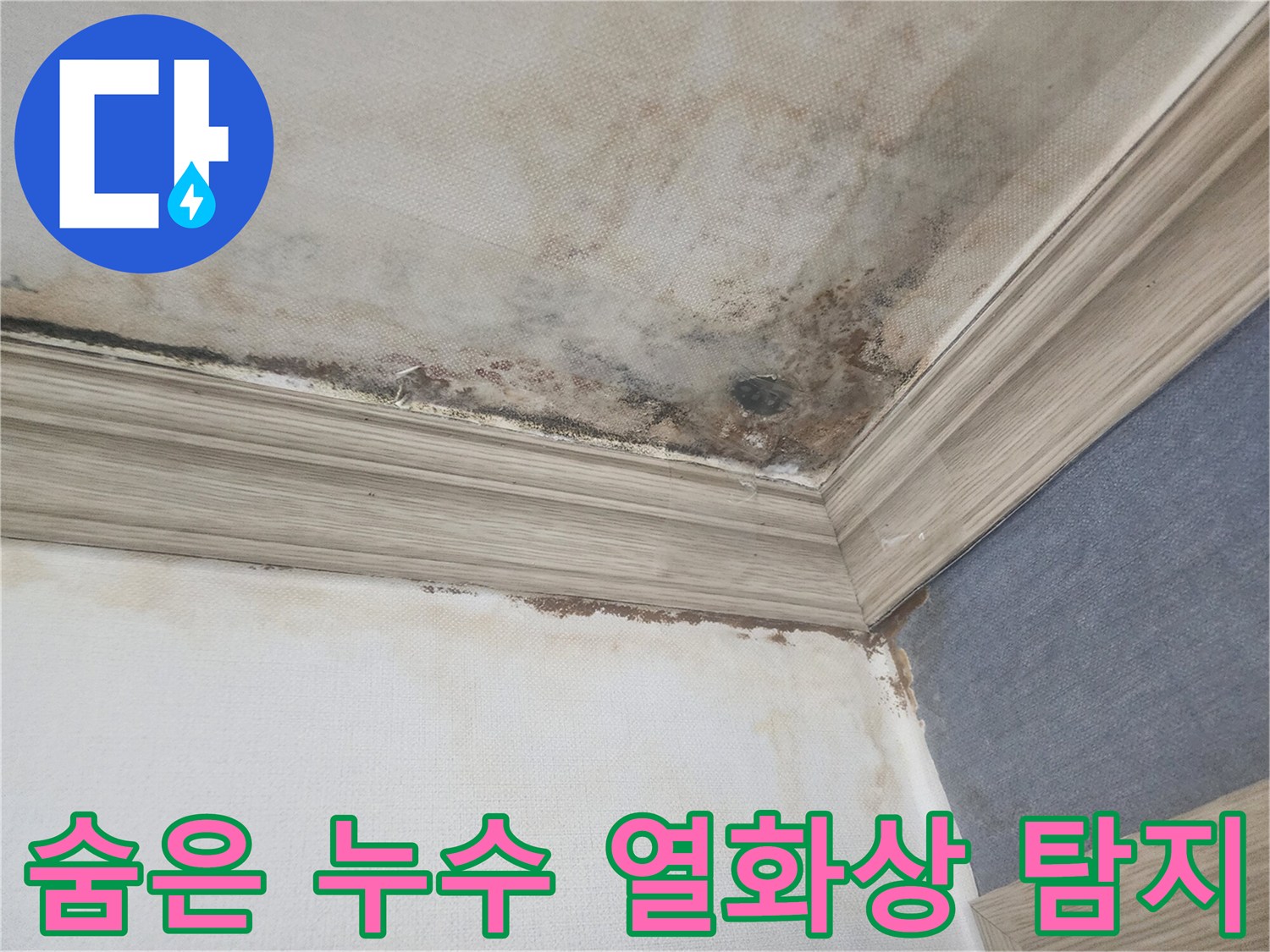 평택 아파트 천장과 벽에 번진 곰팡이 현장에서-열화상 카메라로-숨어있는 누수 지점을 정밀하게 탐지하는 모습입니다.