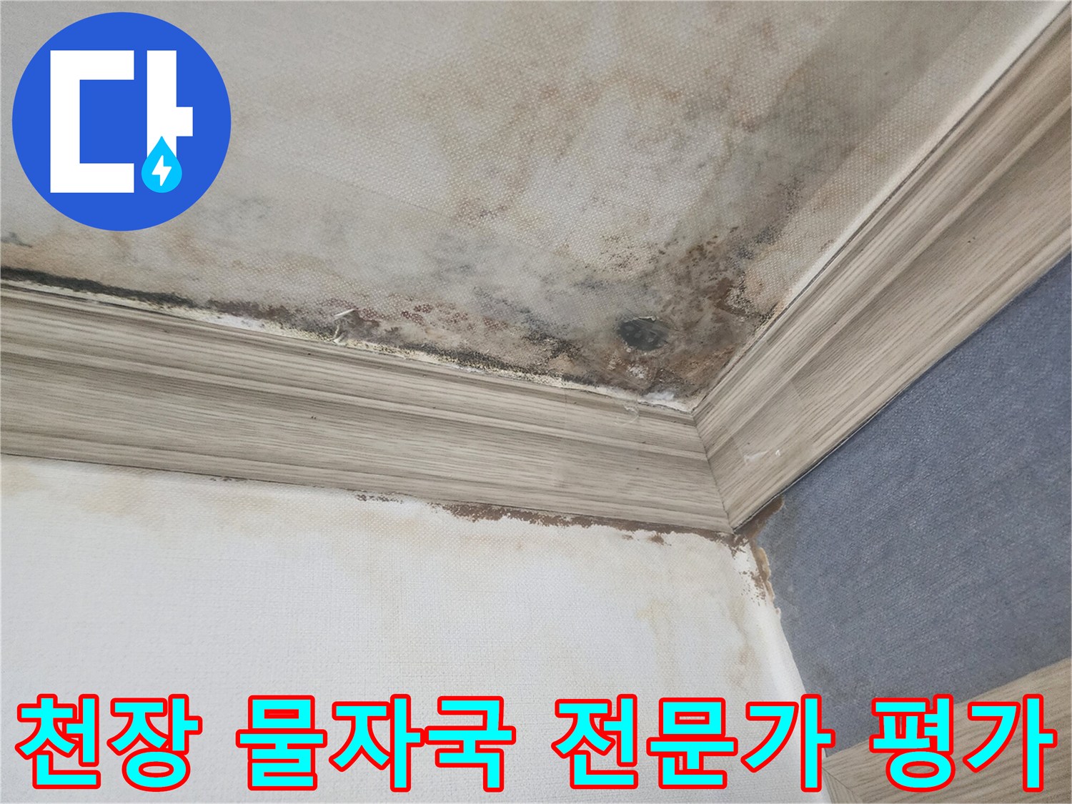 평택 아파트 천장에 생긴 물자국과-곰팡이는-전문가에 의한 누수 평가와-정확한 보고서 작성이 필요한 상황입니다.