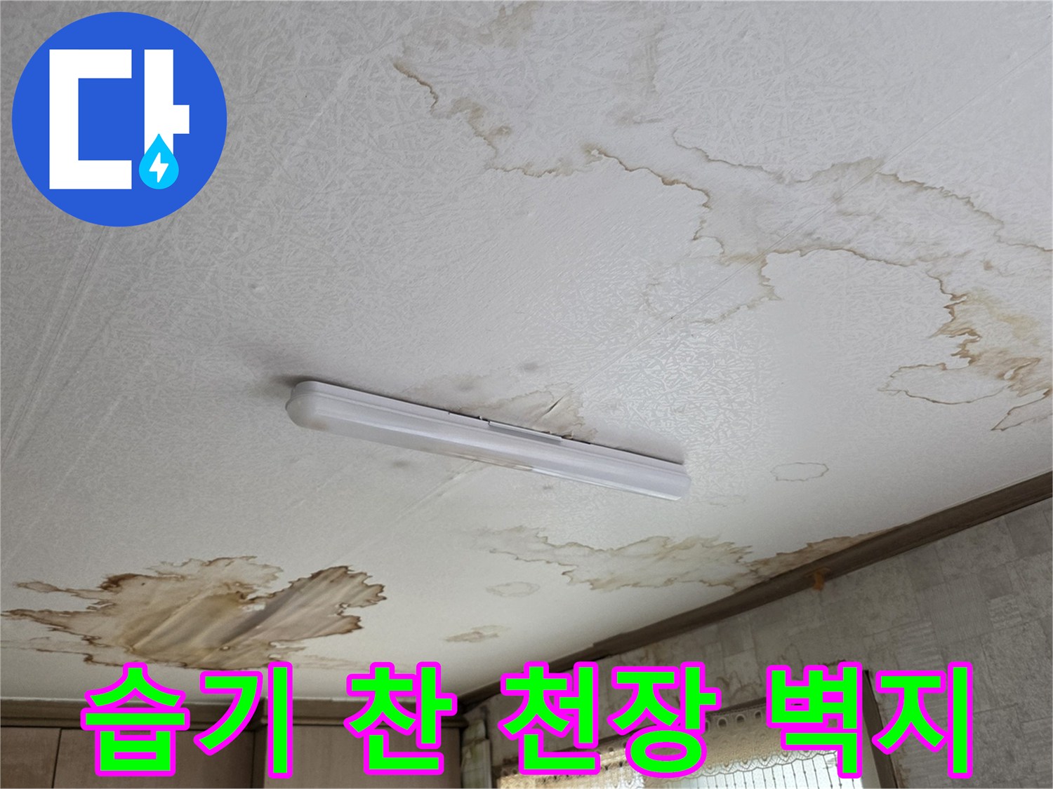 교하 현장 사진-누수로 인해 젖고 변색된 주방 천장 모습