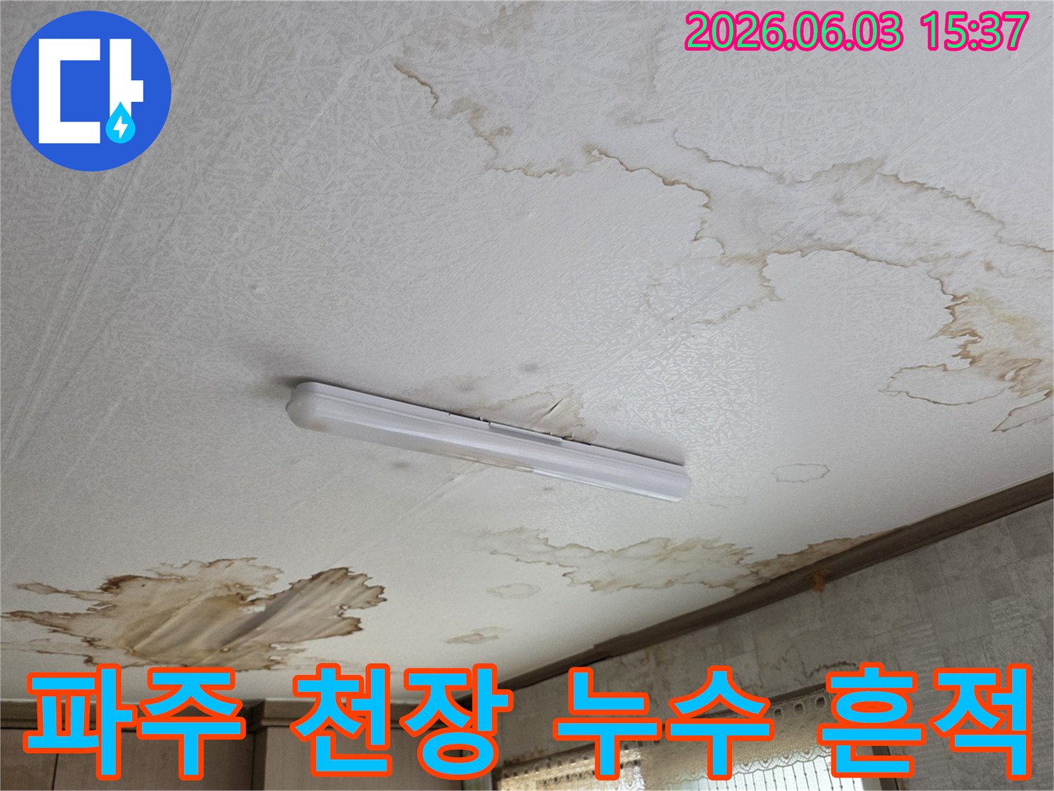 천장에서 물이 새어 얼룩진-파주 주택 누수 현장 이미지