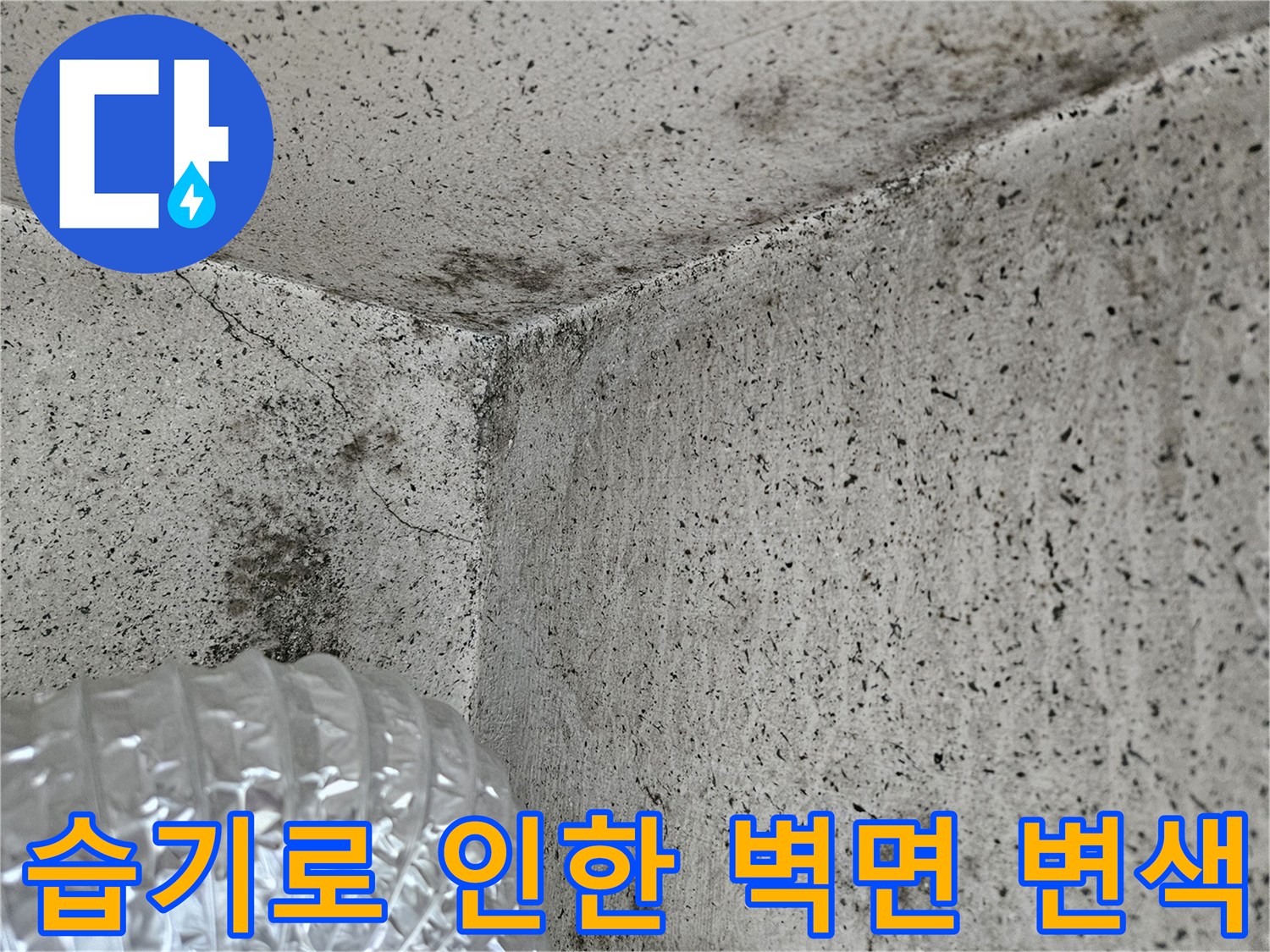 누수로 인해 곰팡이가 발생한 베란다 벽면 상세