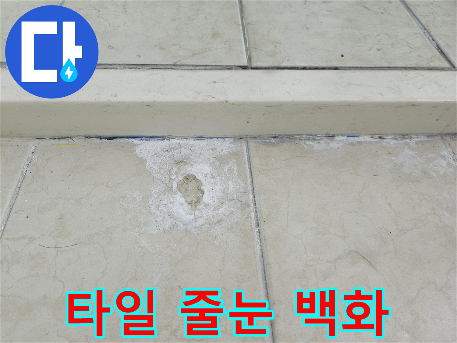 습기 유입으로 인해 하얗게 일어난 타일 줄눈 부위