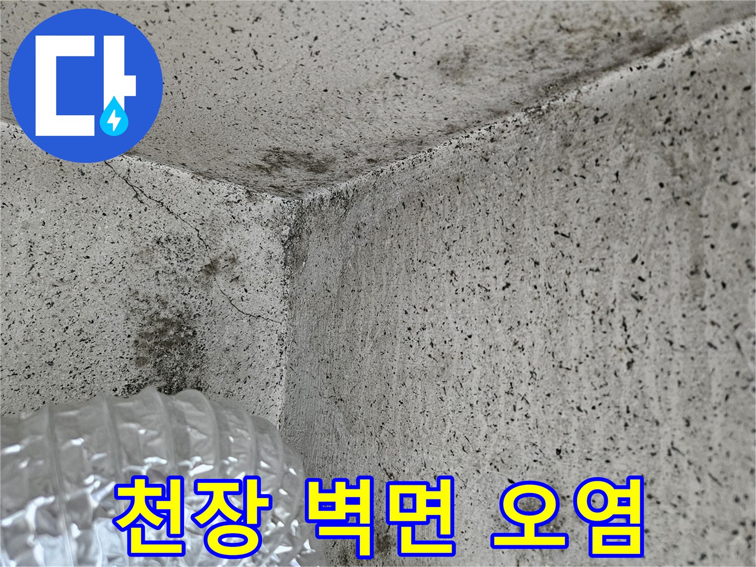 습기로 인해 페인트가 들뜨고 오염된 천장과 벽면 부위