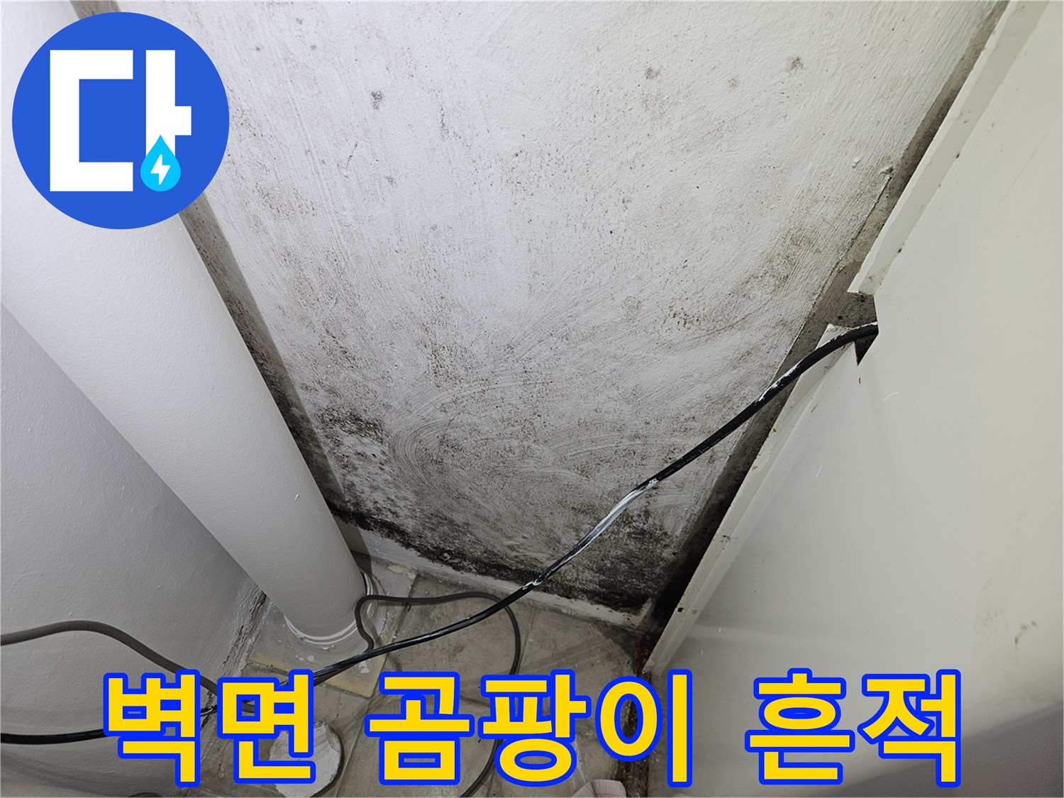 양주 아파트 베란다 벽면에 발생한 검은 곰팡이와 습기 흔적