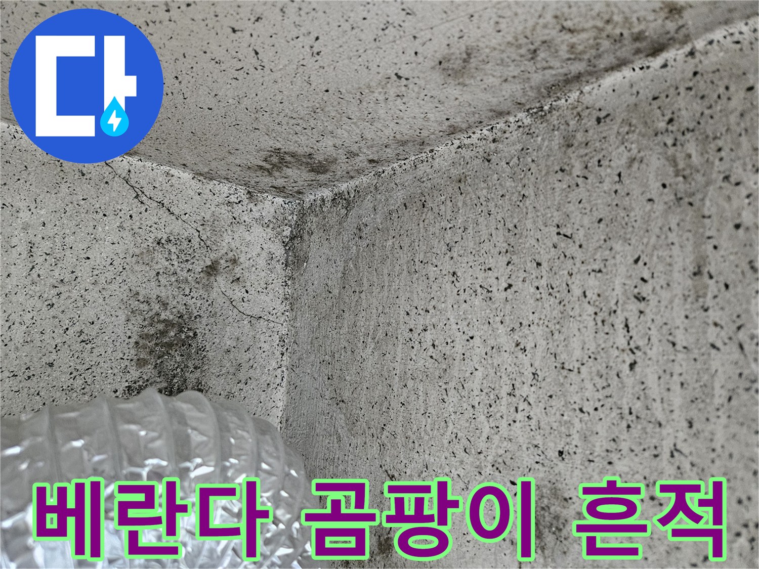 양주 아파트 베란다 벽면의 곰팡이와 습기 침투 흔적