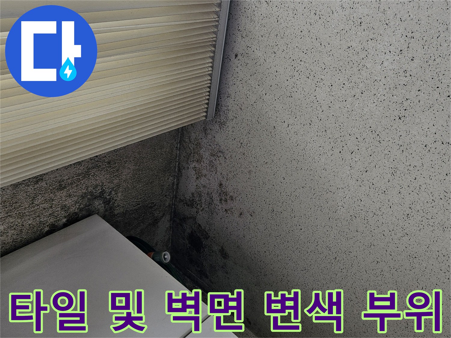 양주 현장 기록 - 습기로 인해 검게 변한 타일과 벽면 경계선