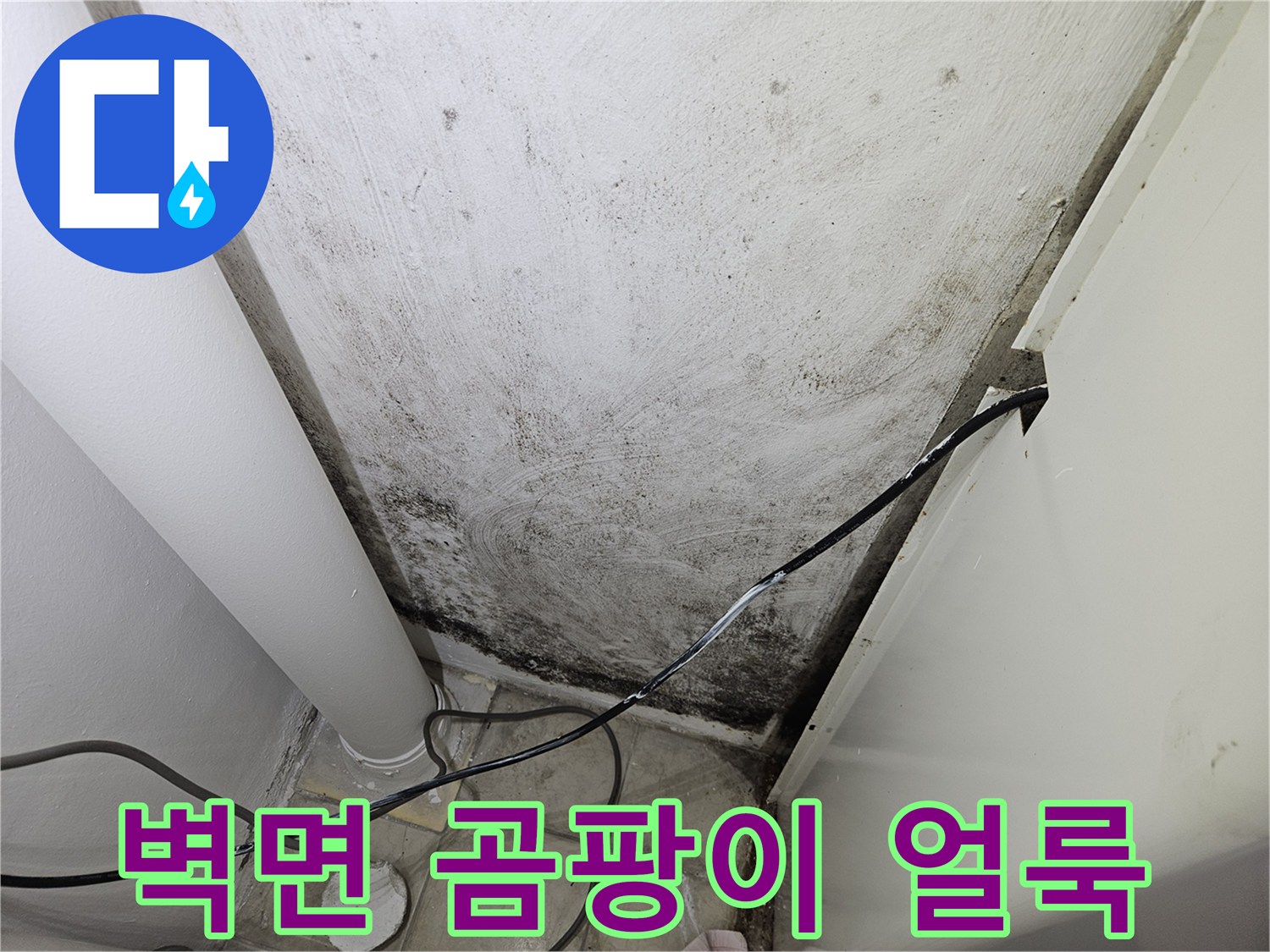 하얀 벽면에 넓게 퍼진 검은색 곰팡이와 물자국