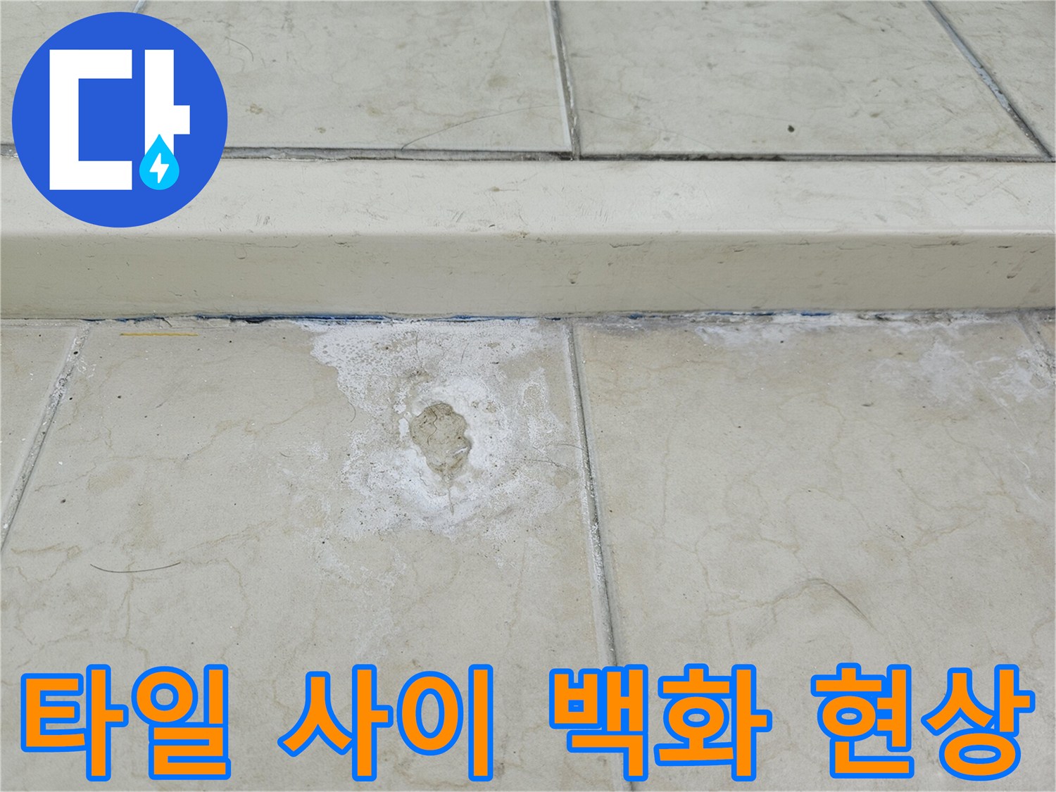 하얗게 일어난 타일 줄눈과 주변의 변색된 상태