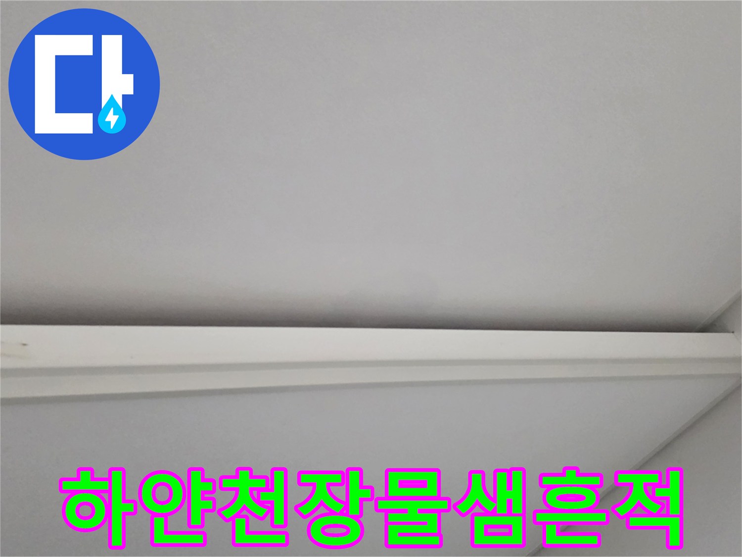 일산서구-아파트-거실-천장-벽지-변색-상태