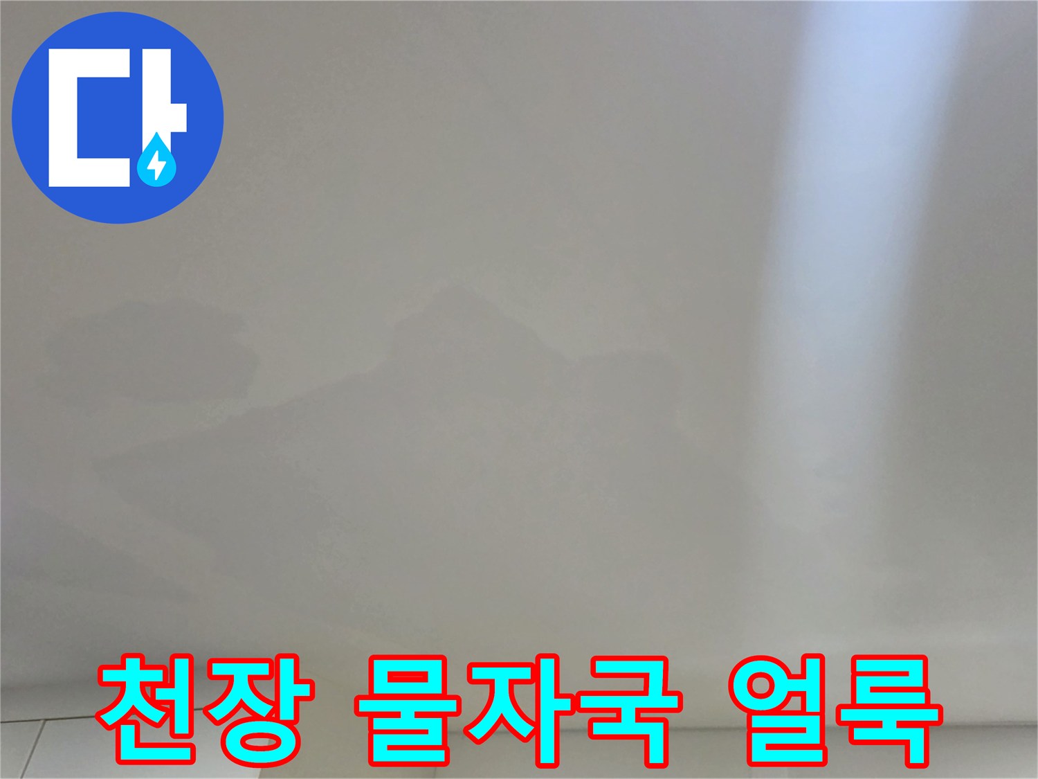 일산서구-아파트-천장-벽지-누수-얼룩-현황