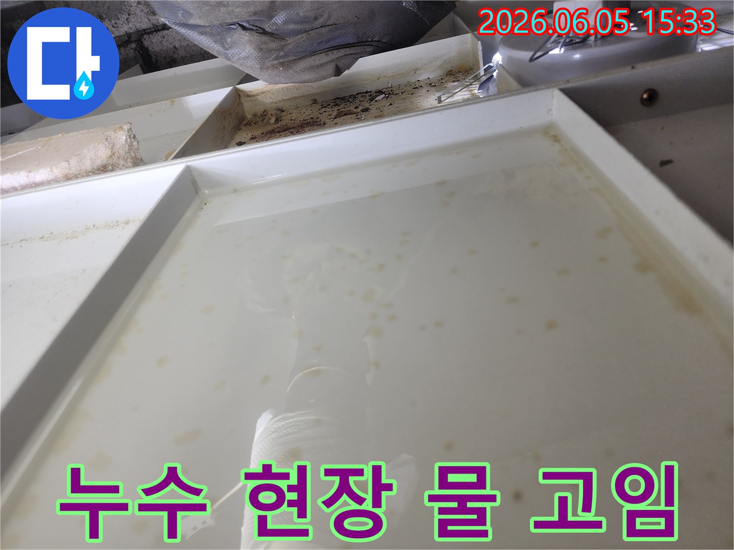 누수 발생으로 인해 물이 고인 현장-정밀 탐지를 위한 초기 단계