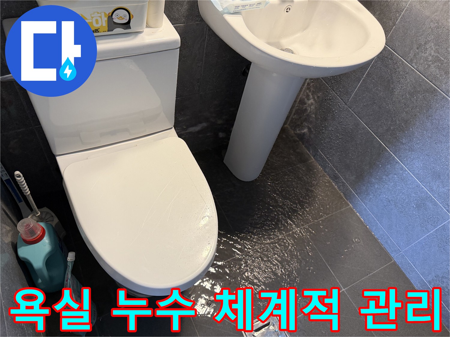 욕실-바닥에-고인-물을-통해-누수-문제를-보여주며-전문가의-체계적인-관리-시스템을-설명하는-사진