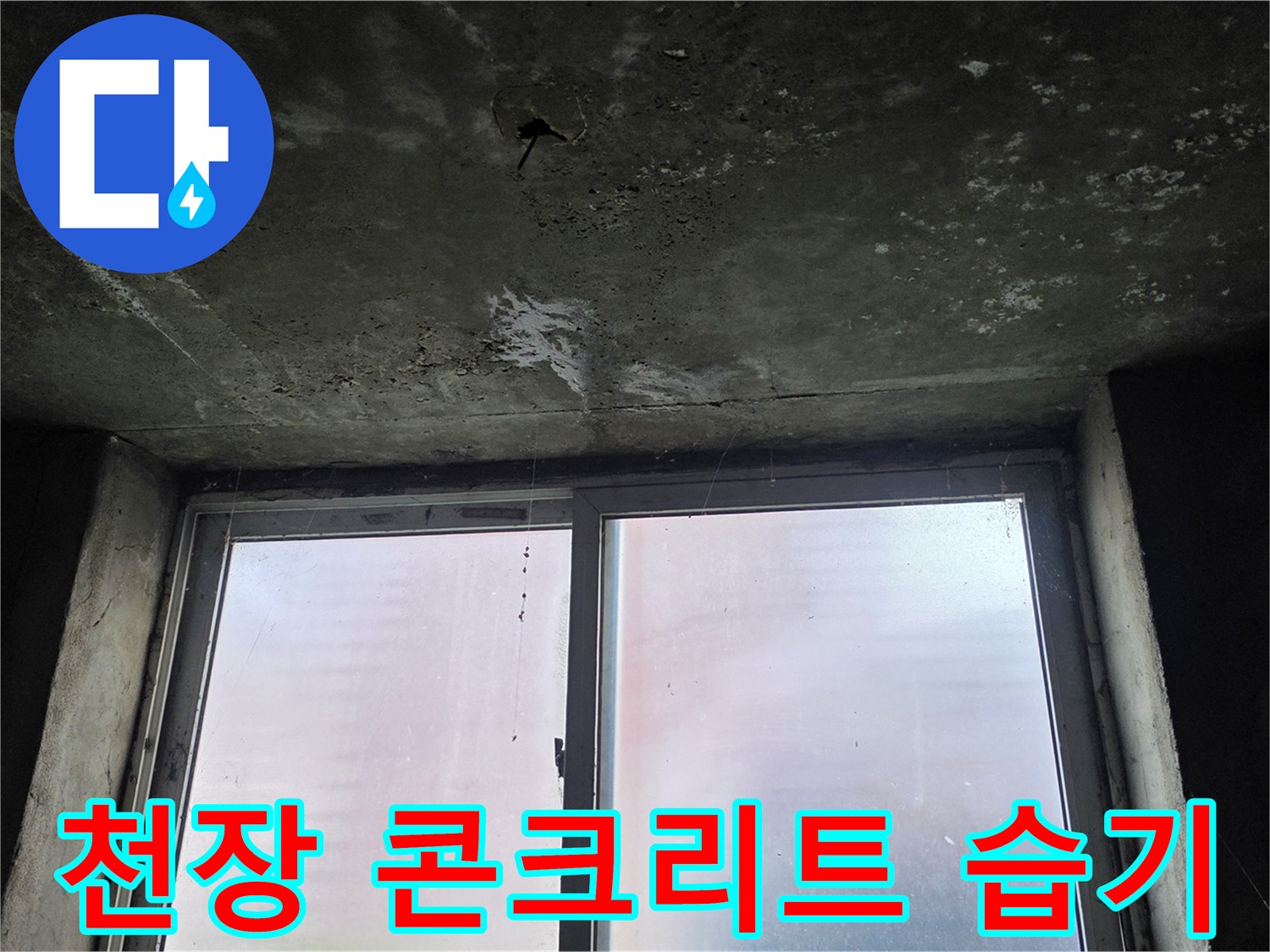 지하-창고-천장-슬래브-의-누수-흔적-및-곰팡이-상태