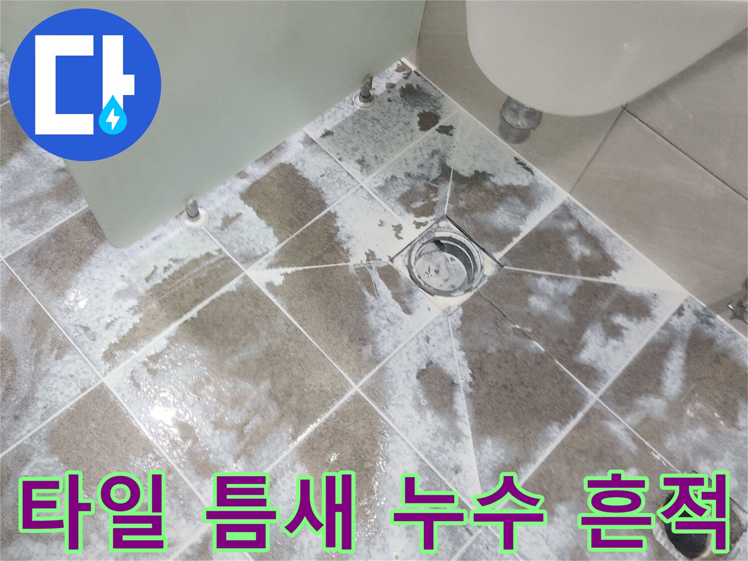 일산동구 아파트-욕실 바닥 타일-줄눈 사이로 스며든-물기로 인한 변색과-하얀 침전물을 보여주는-누수 현장 사진