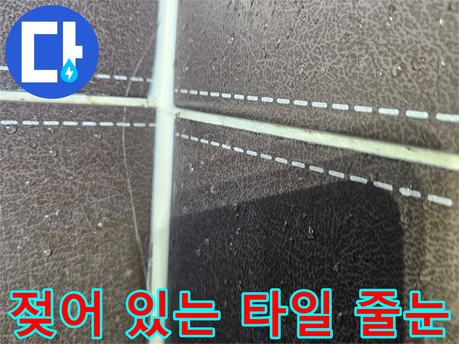 습기가-머금어진-타일-줄눈-및-틈새-상태