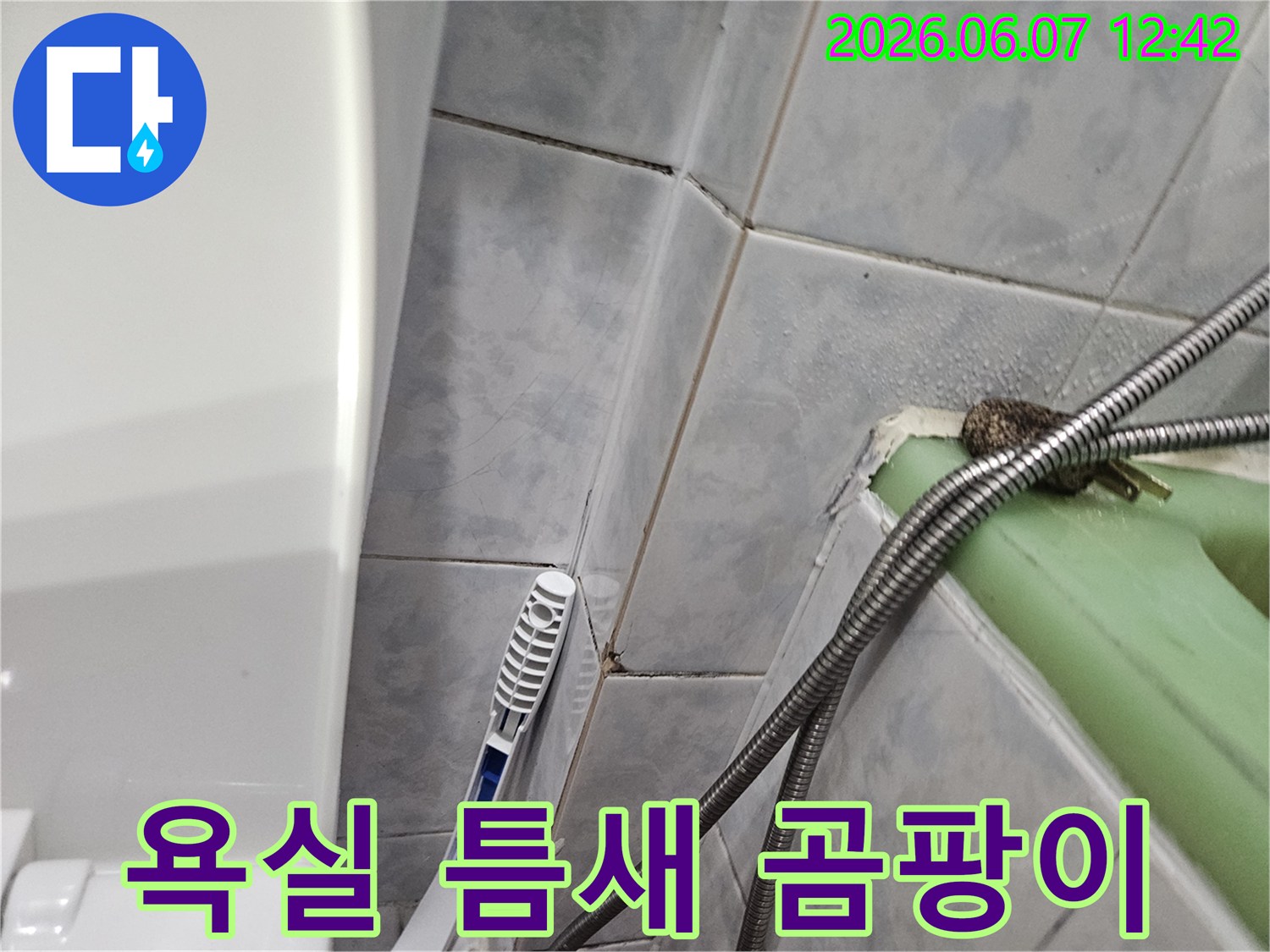 욕실 타일 틈새와 실리콘에 검은 곰팡이가 생긴-누수 현상