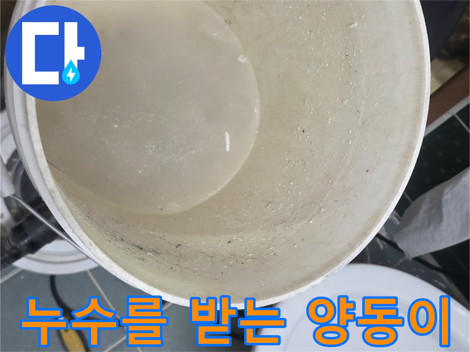 흰색 양동이에 고인 배관 누수 유출물