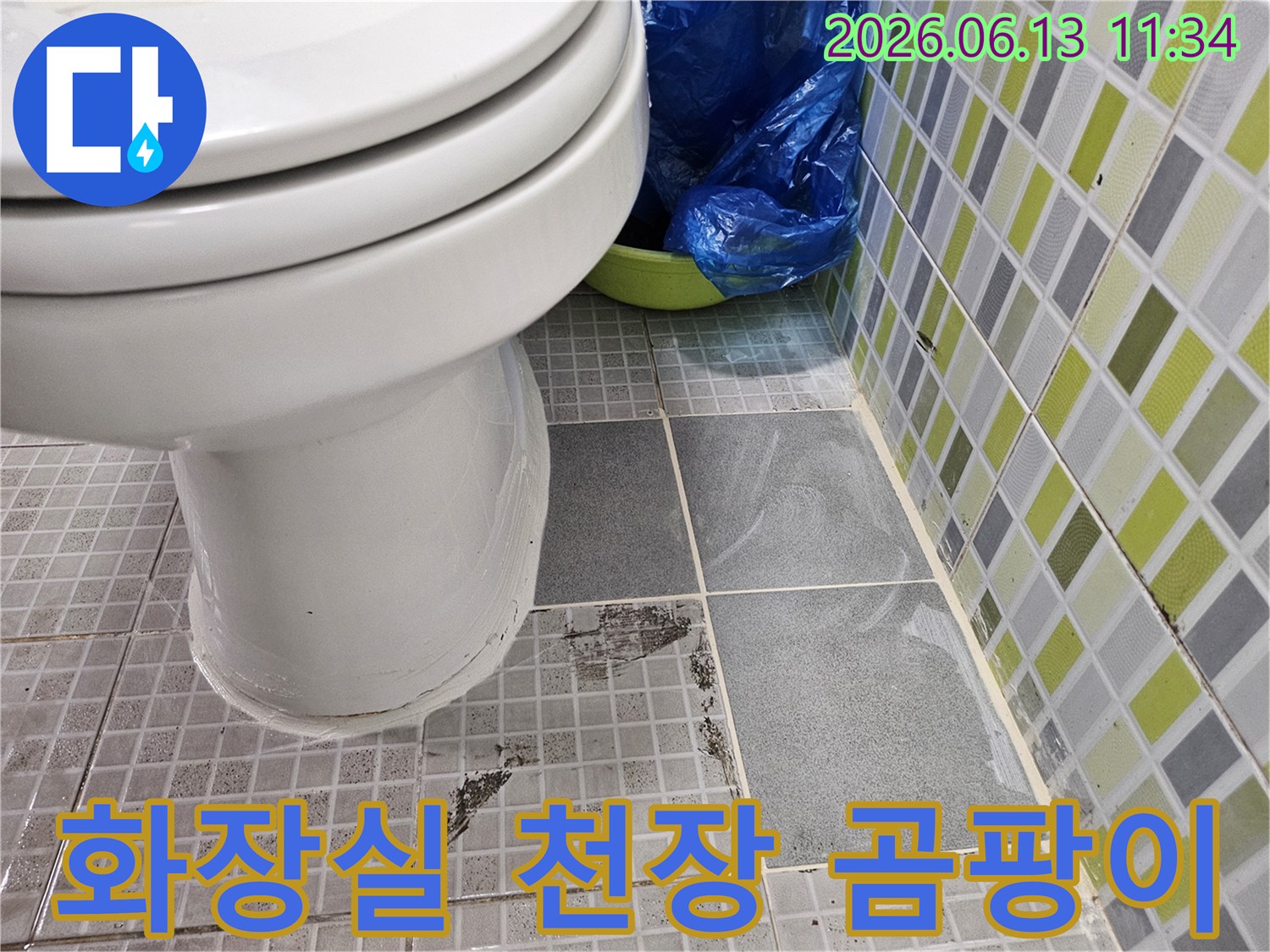 빌라 화장실 천장 타일에 물이 새어-곰팡이가 심하게 번진-누수 현장 사진