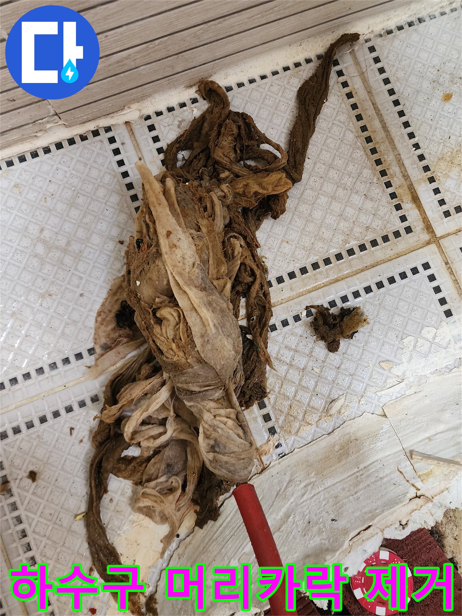 배수구에서 나온 커다란 오물과 머리카락 덩어리