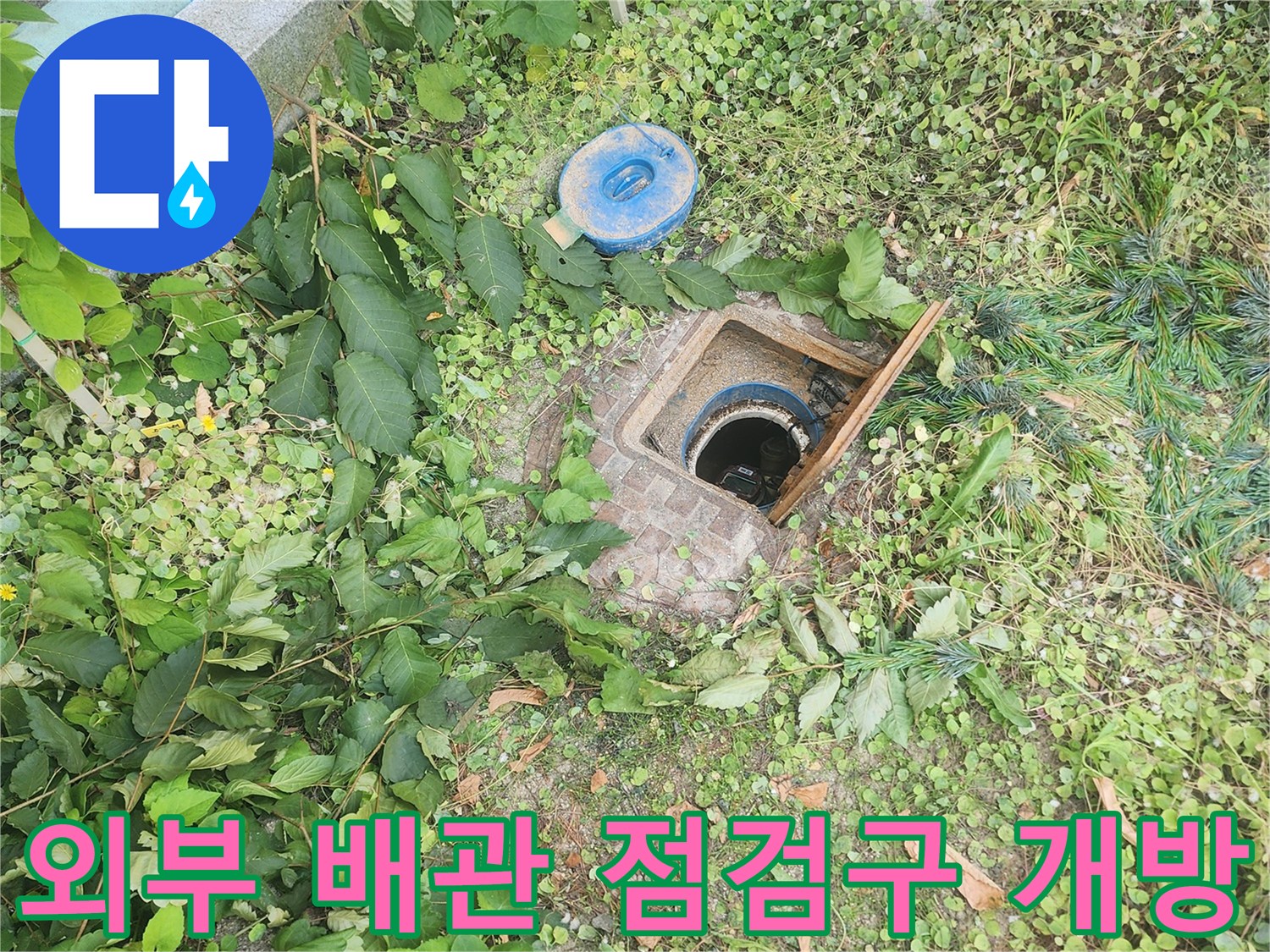 풀이 무성한 야외 지면의 배관 점검구 사진입니다.