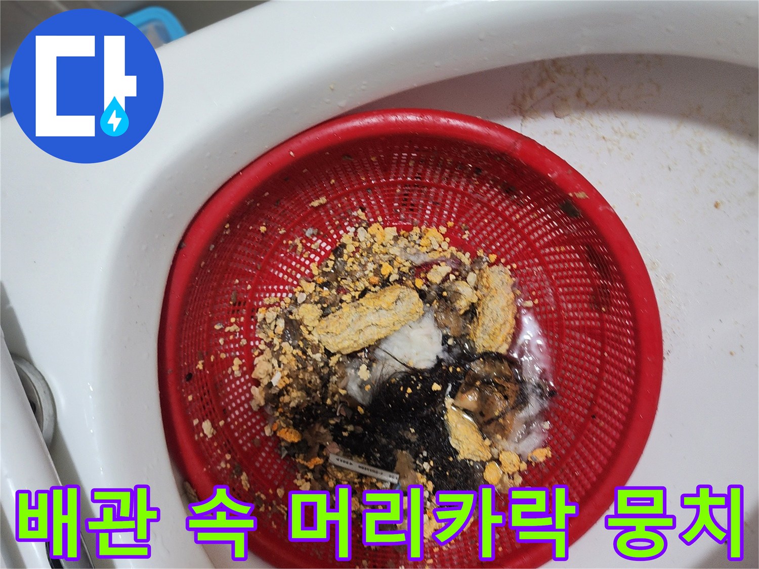 배수구 막힘을 유발한 머리카락과 오물 슬러지